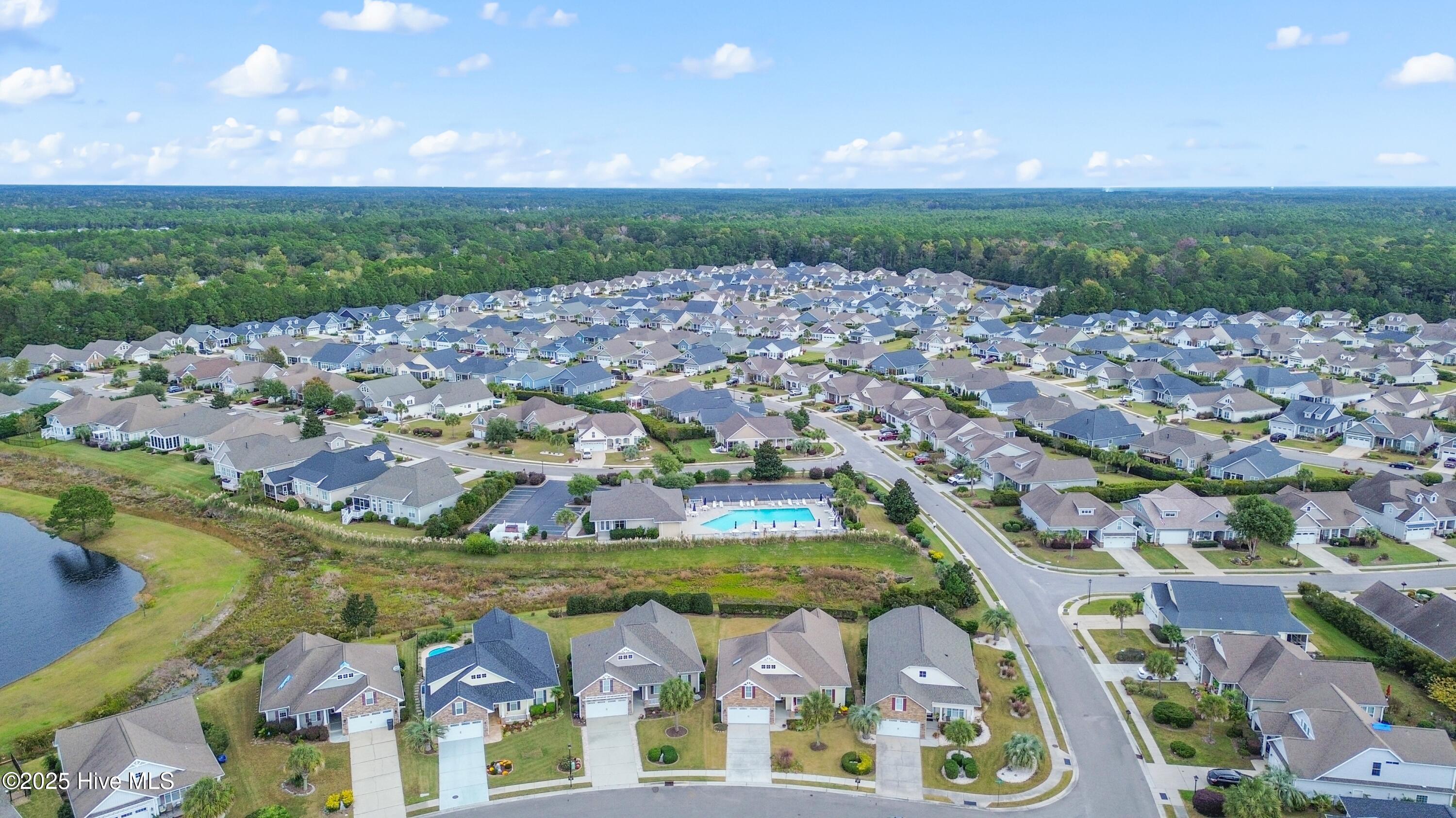 100538736 | Photo 39