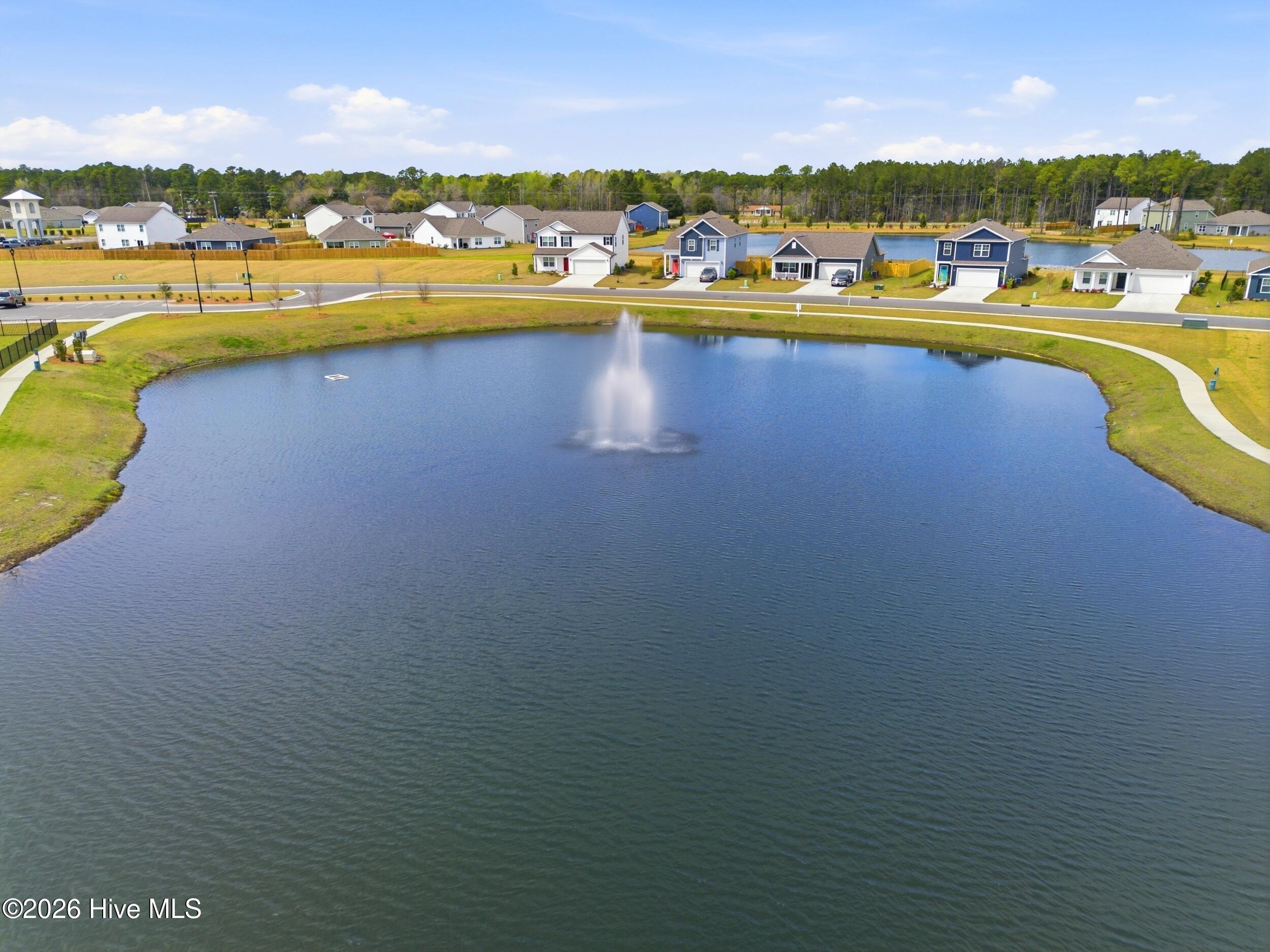 100558236 | Photo 59