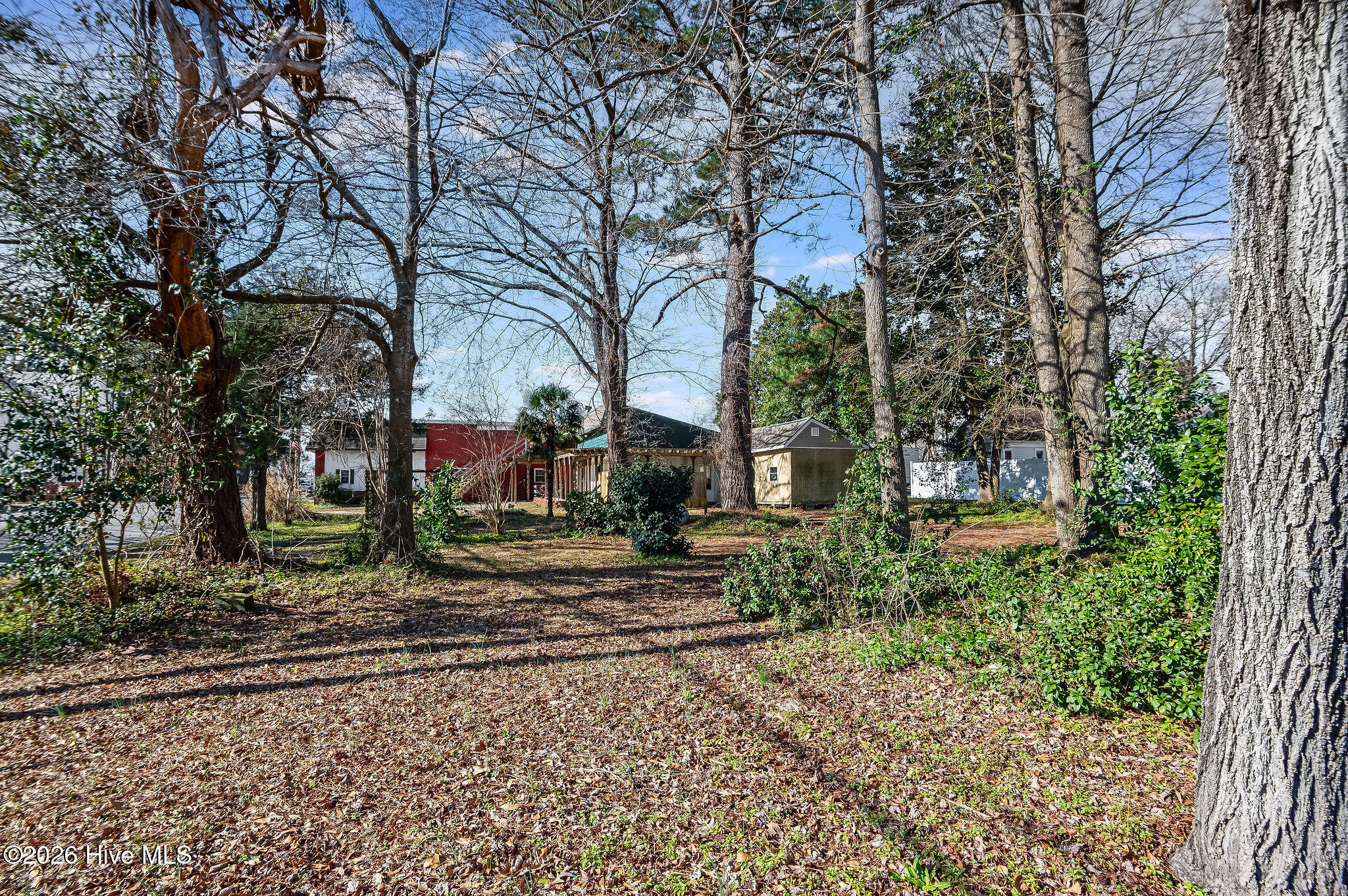 100561889 | Photo 11