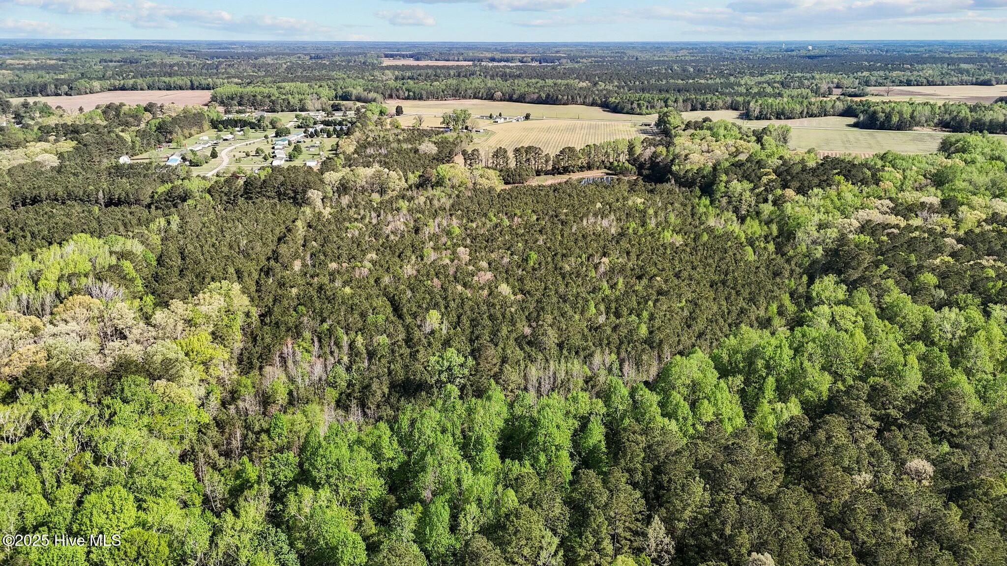 5635 Mckendree Church Road, Tarboro, NC, 27886