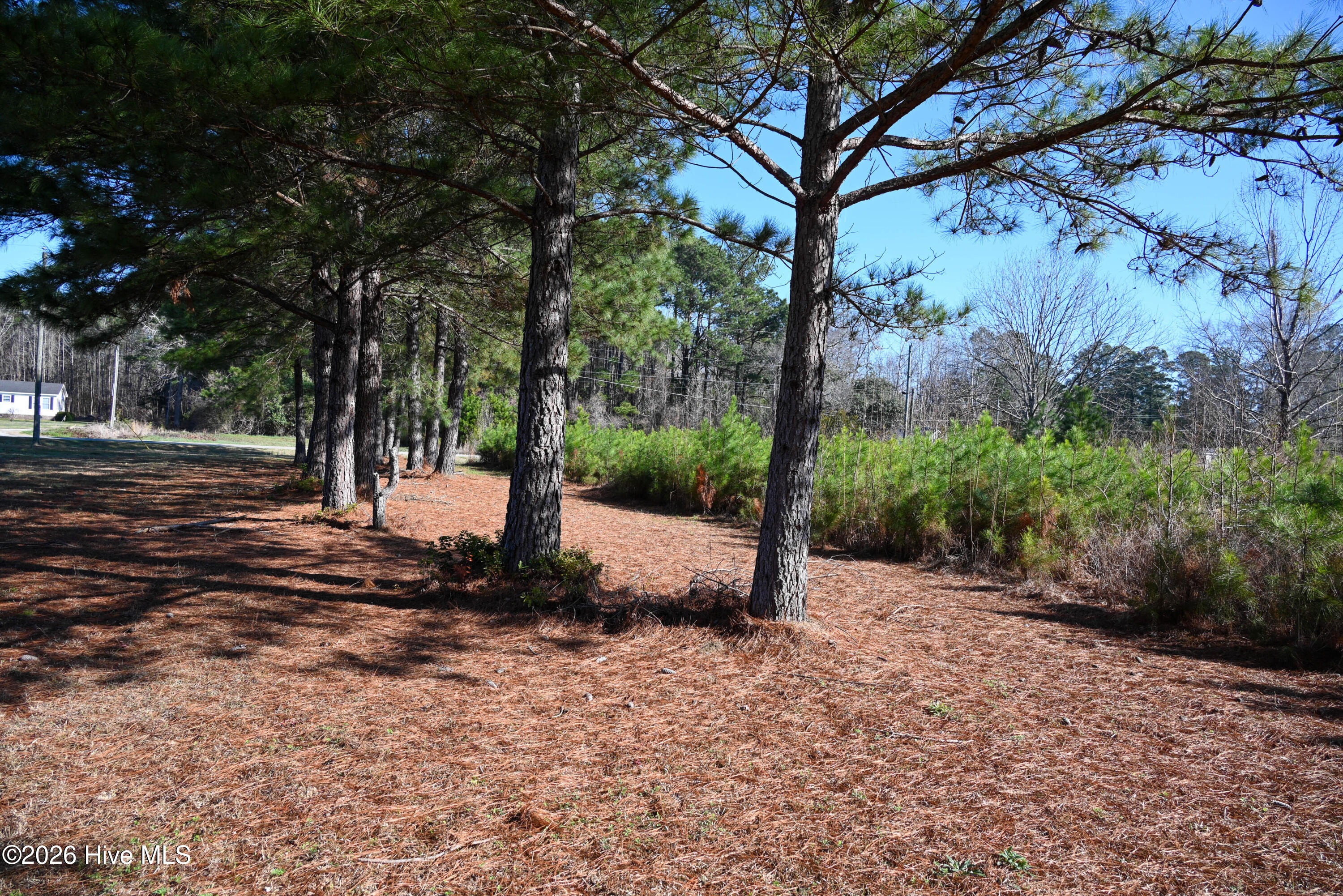 100560038 | Photo 12