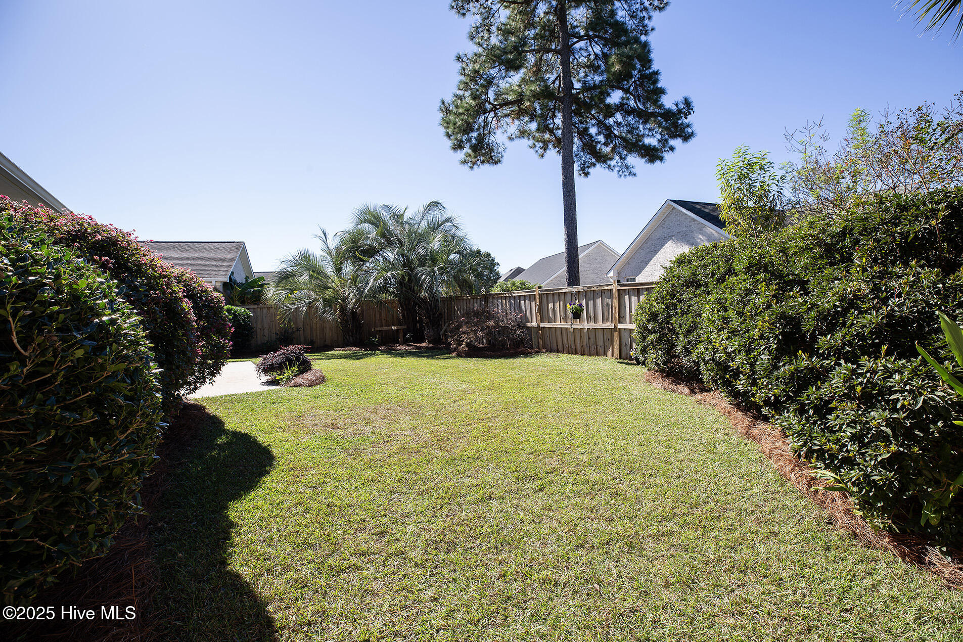 100537210 | Photo 32