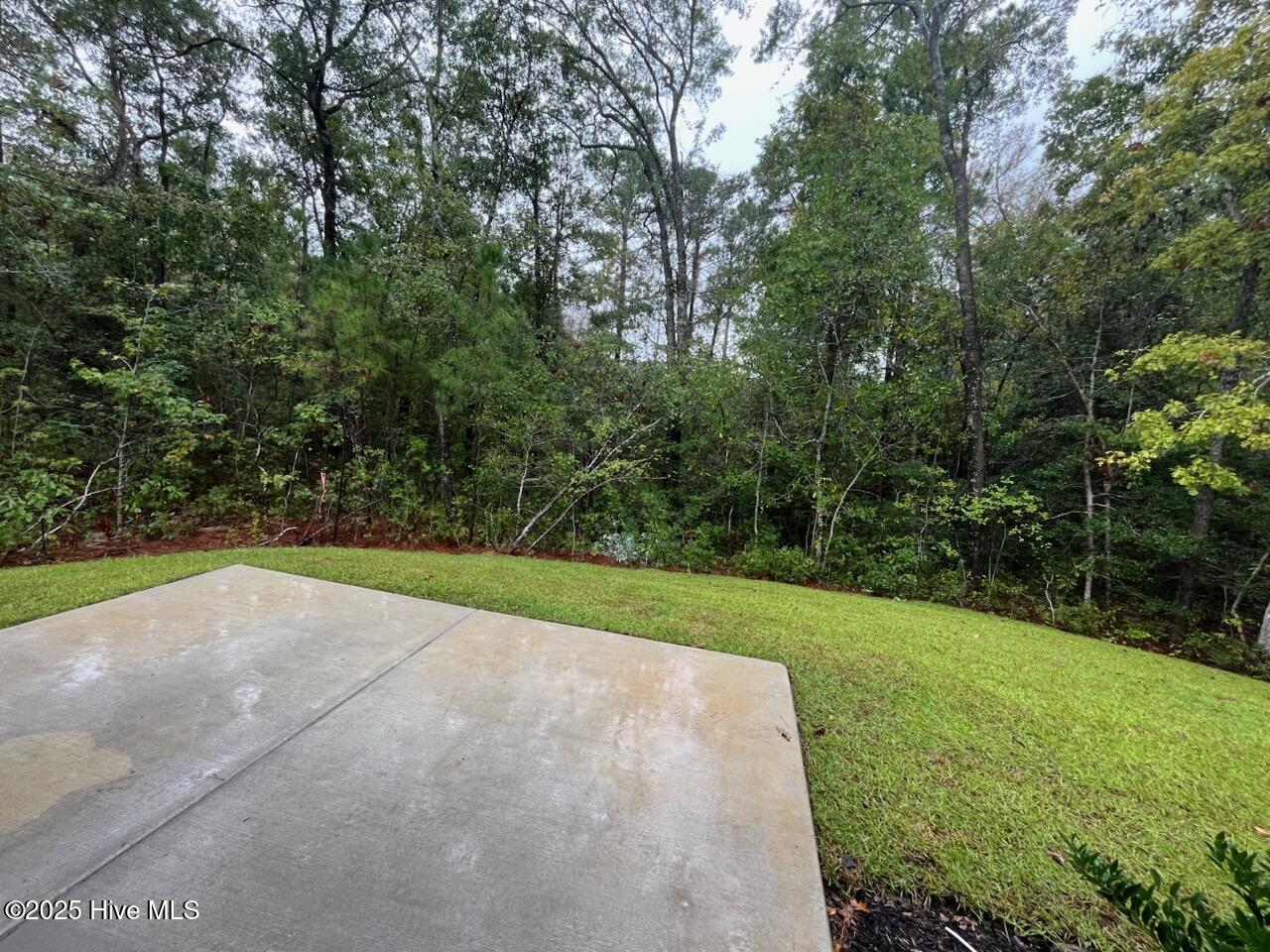 100420978 | Photo 31