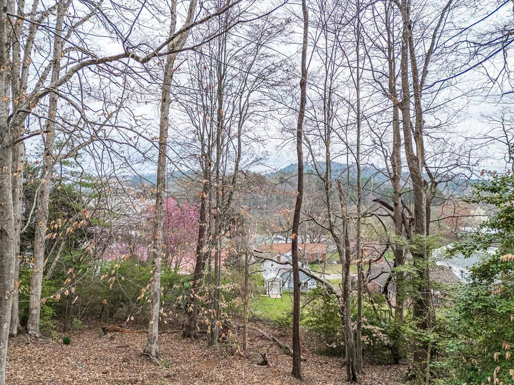 43 Hitchcock Street, Murphy, NC 28906 Listing Photo  63