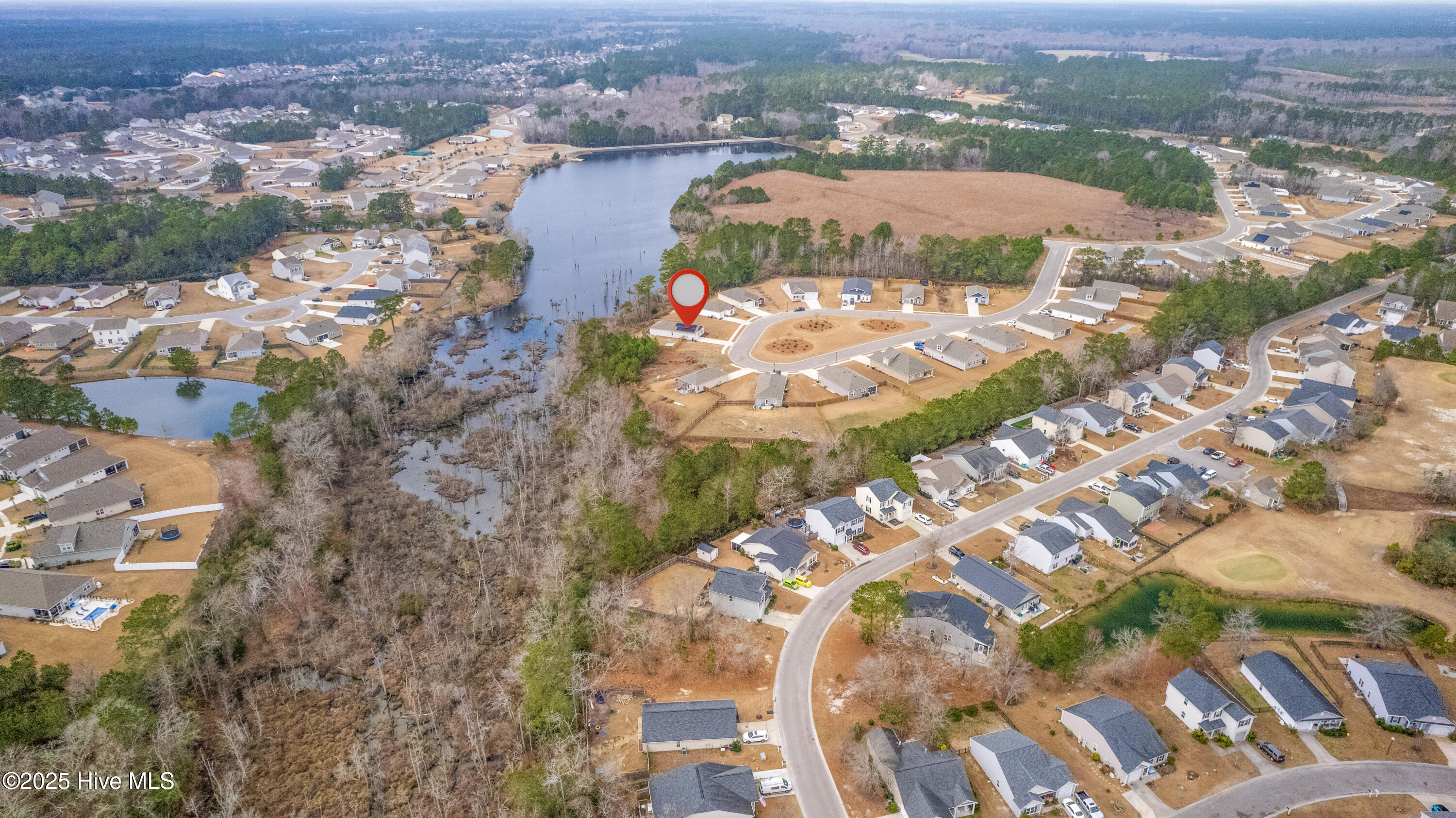 100566662 | Photo 20