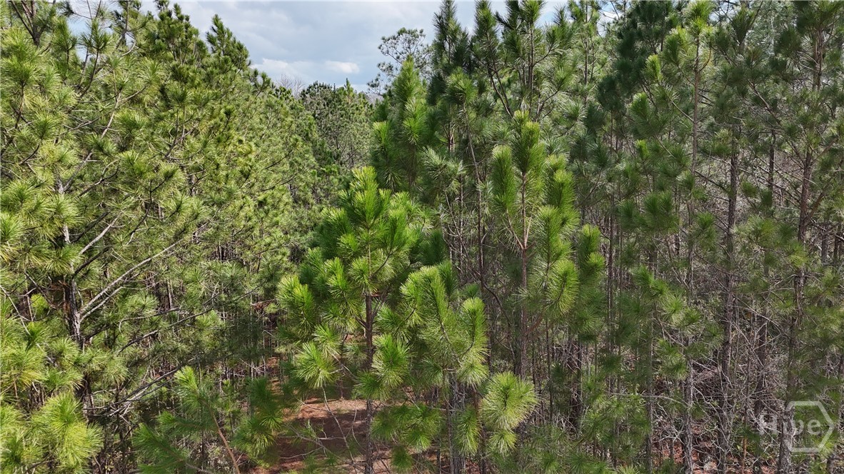 Homes for sale in Pembroke, GA | Lot 1 Lila Ln, Pembroke, GA 31321 | MLS# SA348569