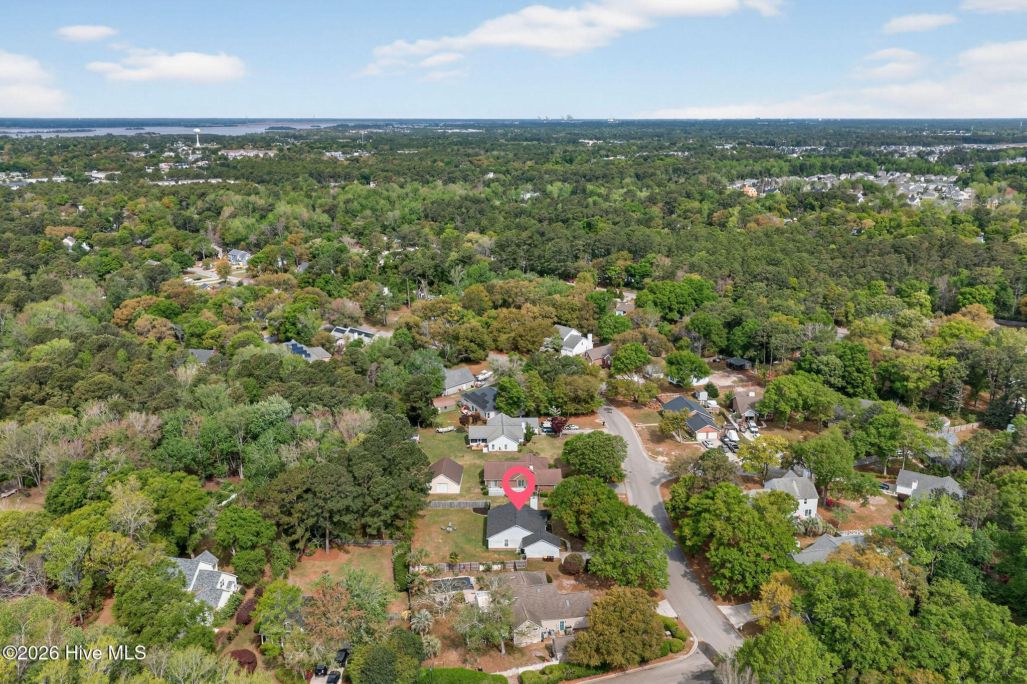 100565876 | Photo 44