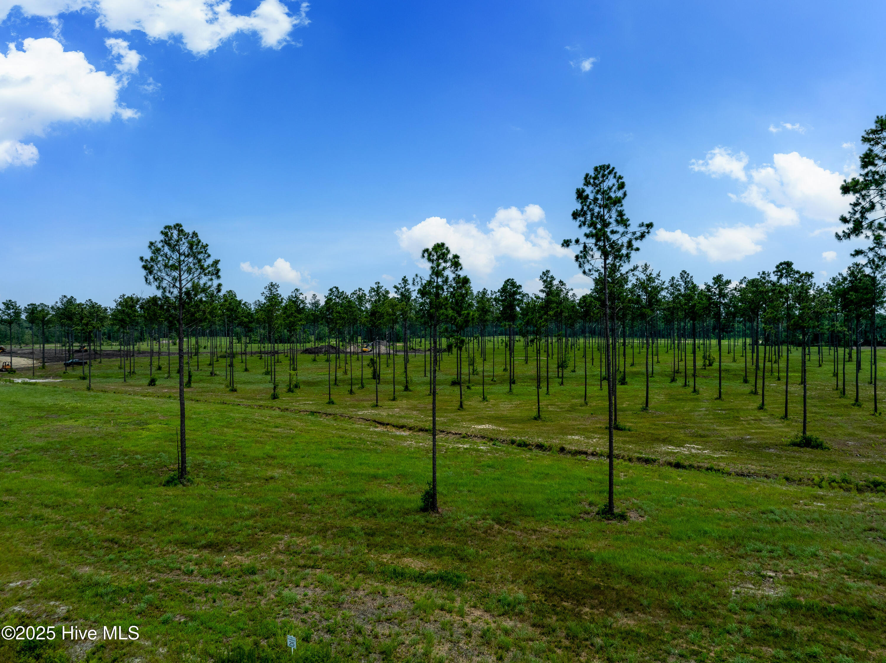 100520208 | Photo 17