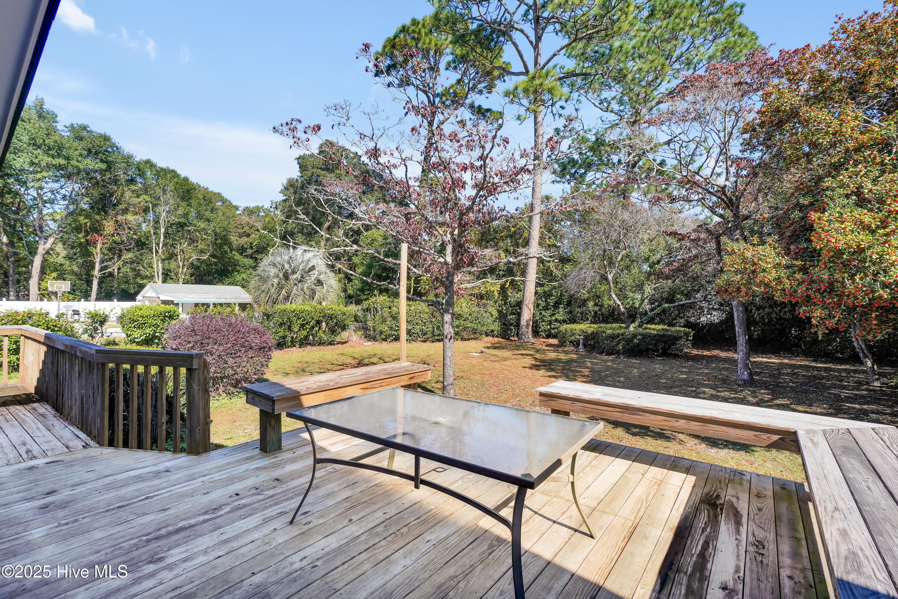 100539794 | Photo 33