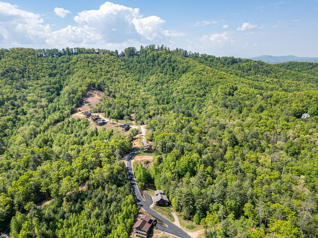 604 Point Overlook Trail, Murphy, NC 28906 Listing Photo  49