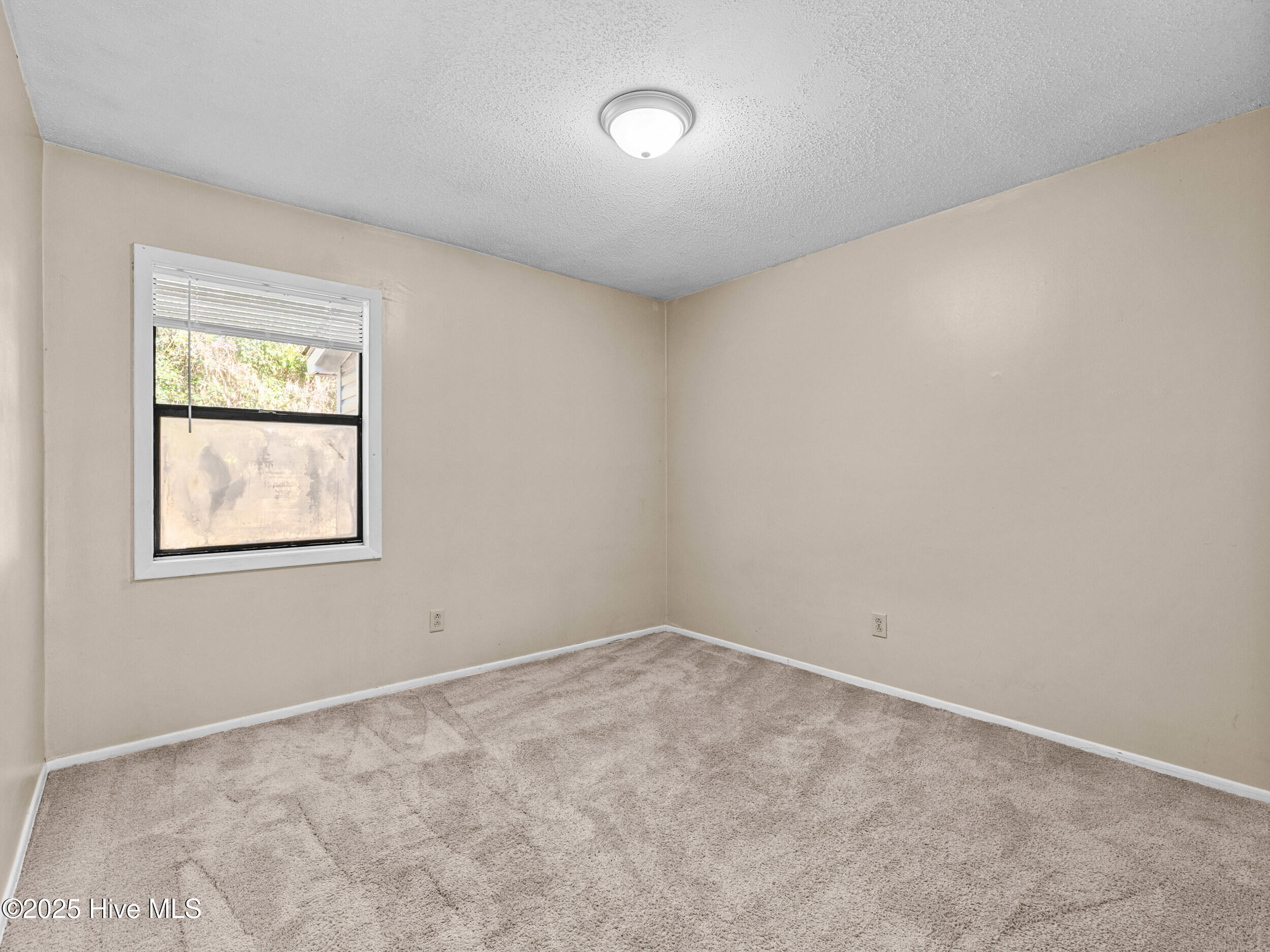 100540466 | Photo 12