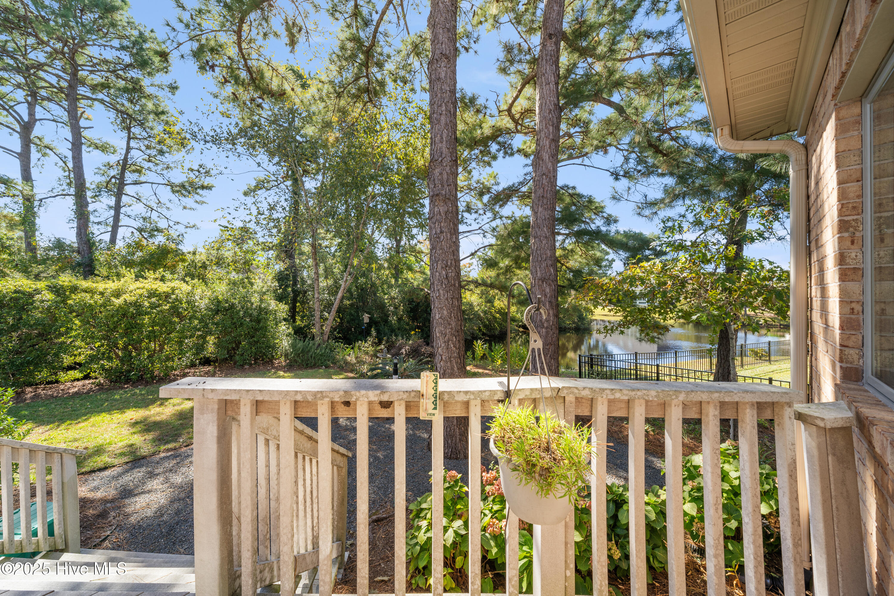 100516292 | Photo 41