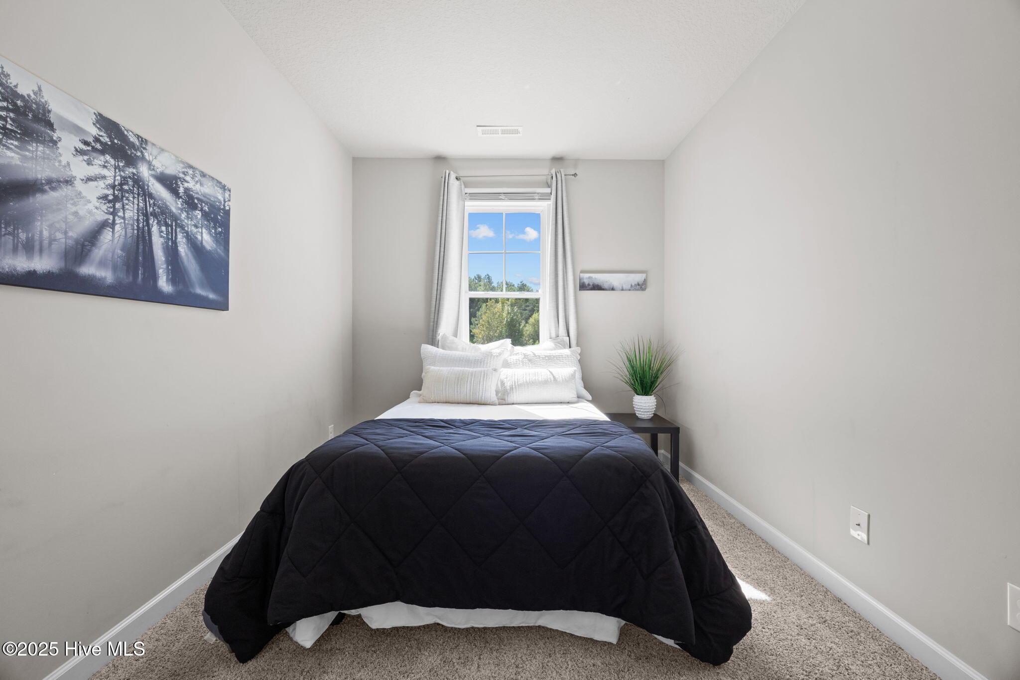 100532525 | Photo 21