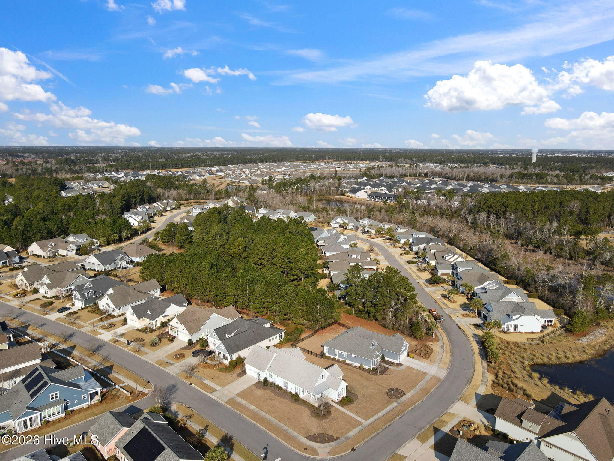 100554353 | Photo 63