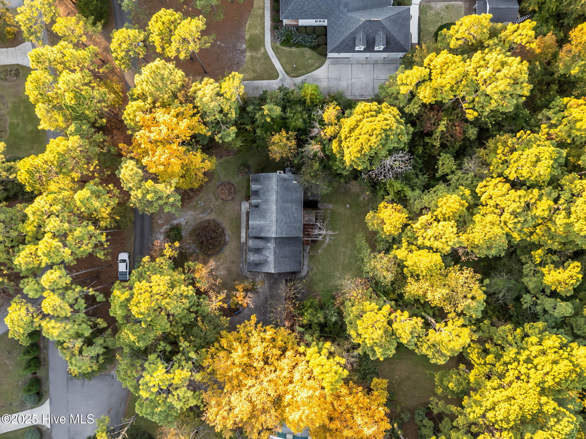 100540294 | Photo 48