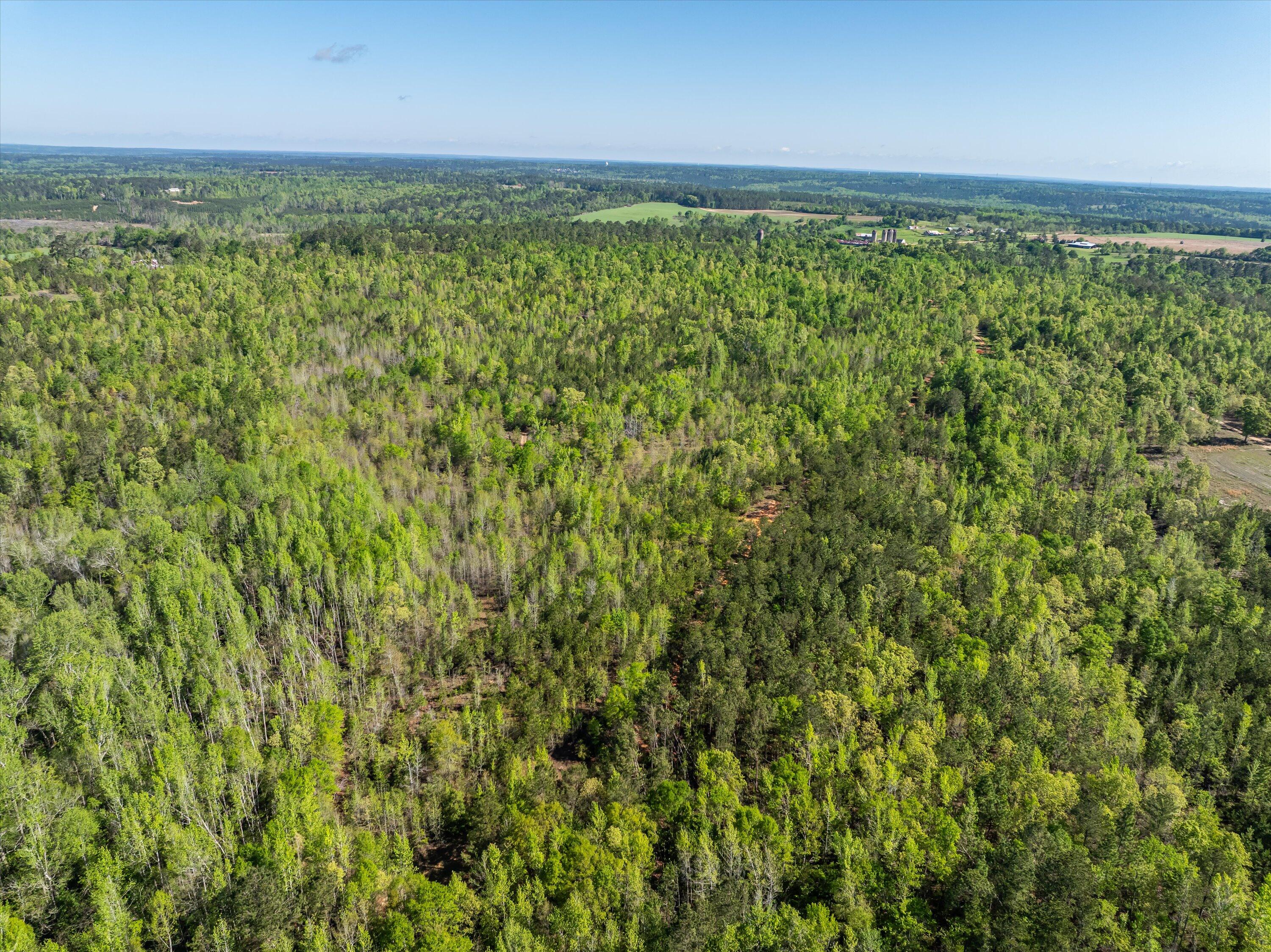 05-DJI_0641-HDR