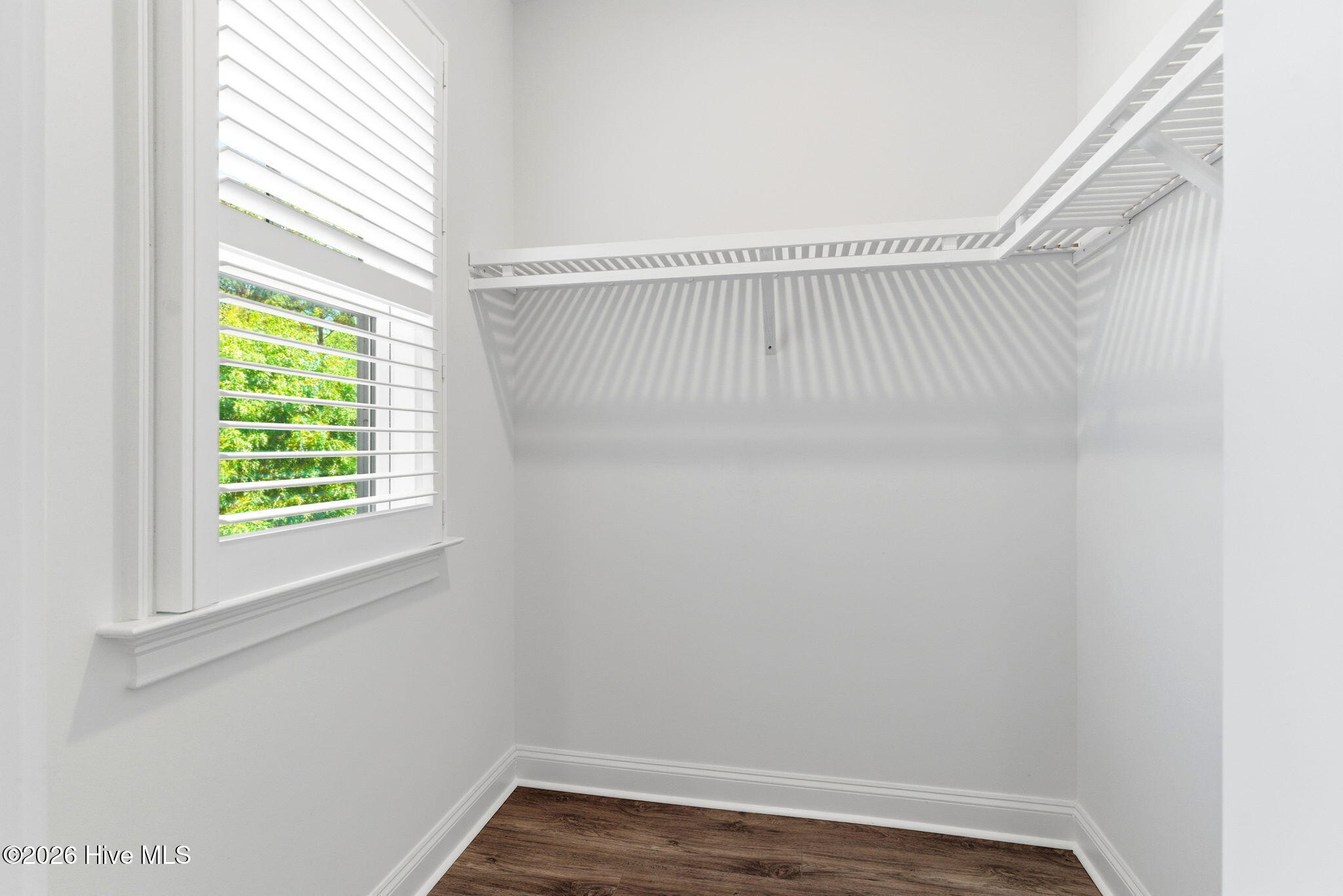 100569885 | Photo 32