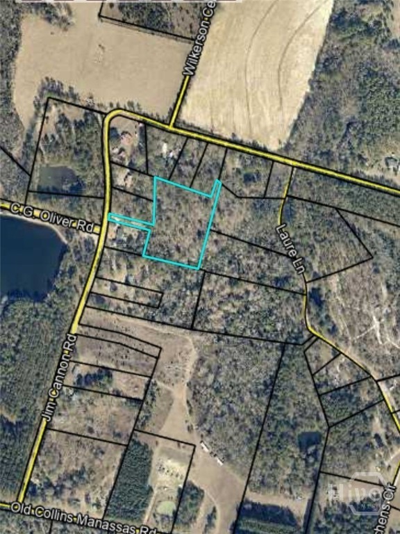 Homes for sale in Collins, GA | 0 Jim Cannon, Collins, GA 30421 | MLS# SA346455