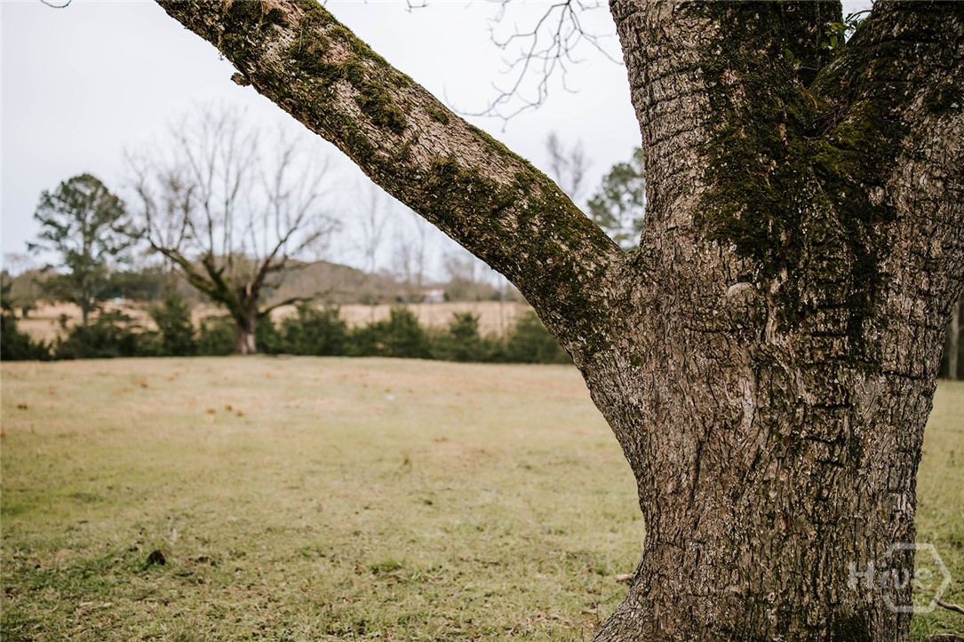 0 Sandy Cross Road, Lexington, GA, 30648