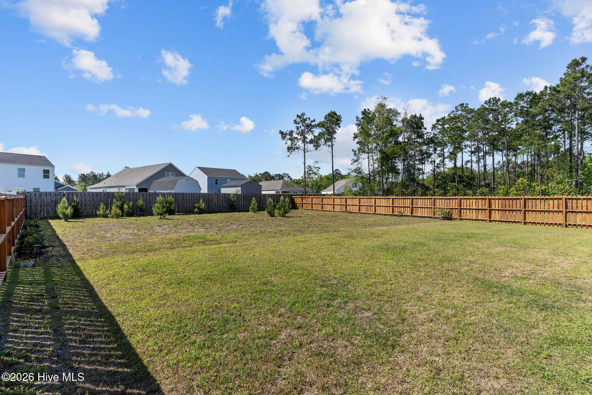 100569205 | Photo 39