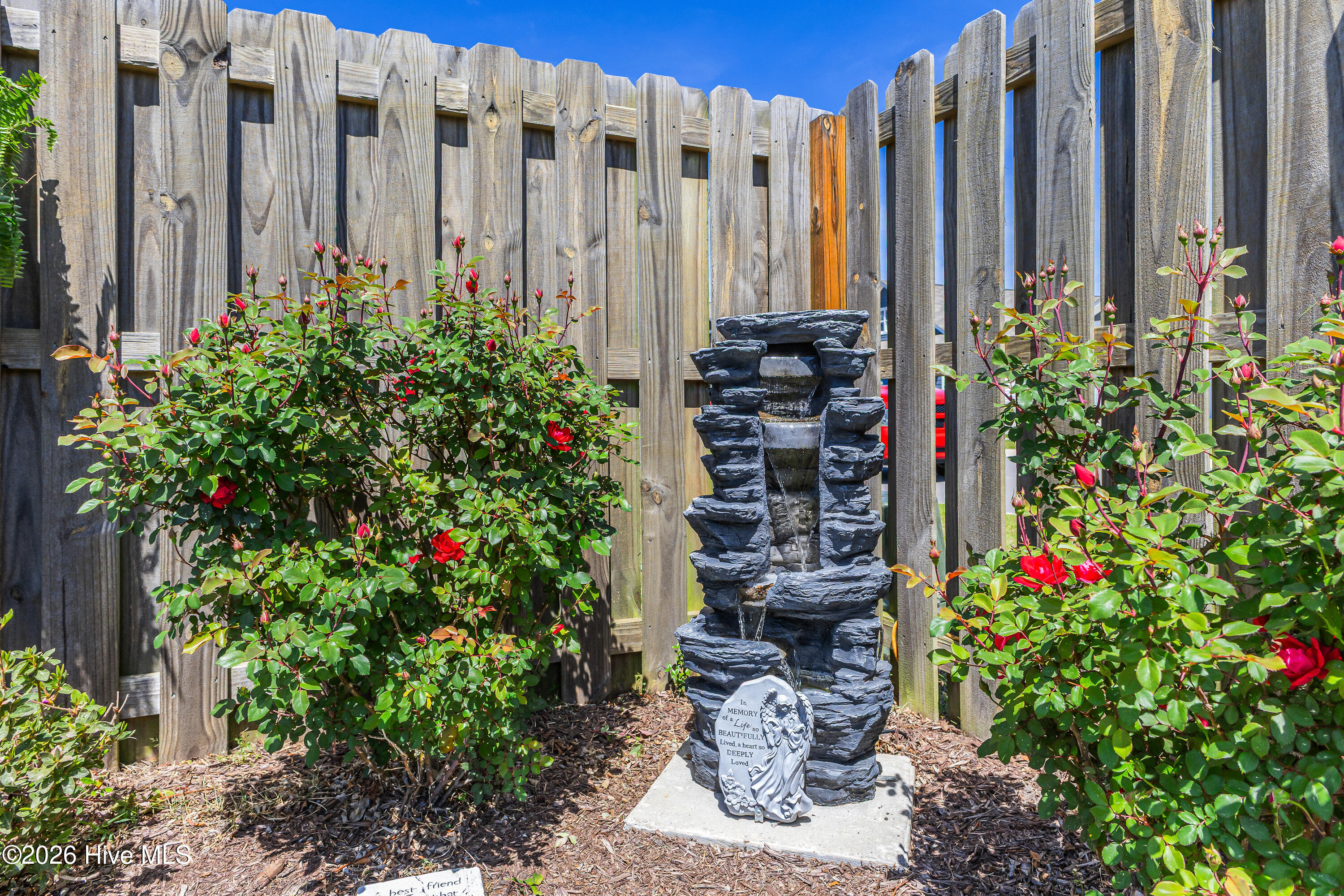 100566455 | Photo 35