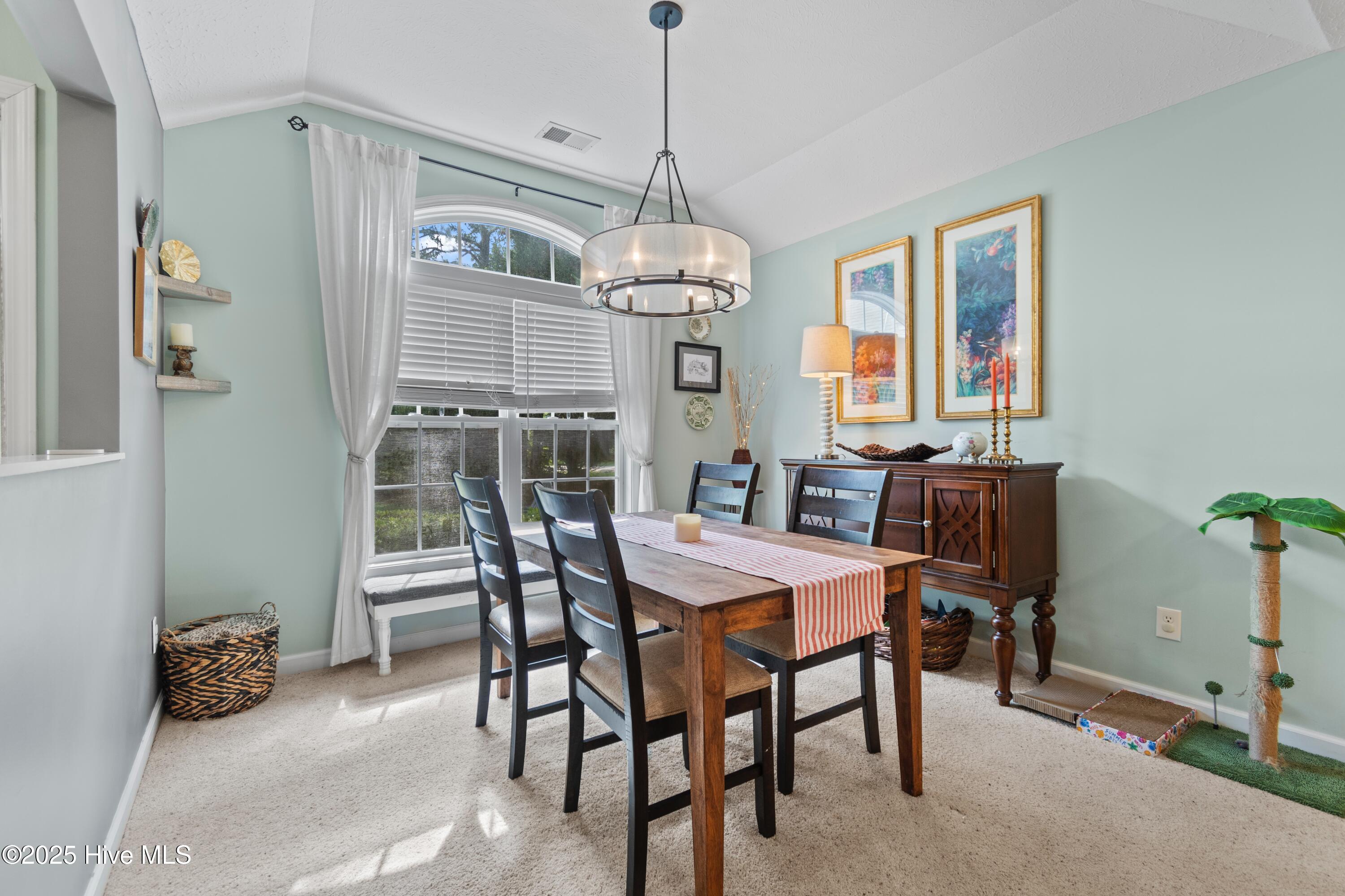 100517176 | Photo 16