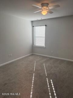 100565912 | Photo 18