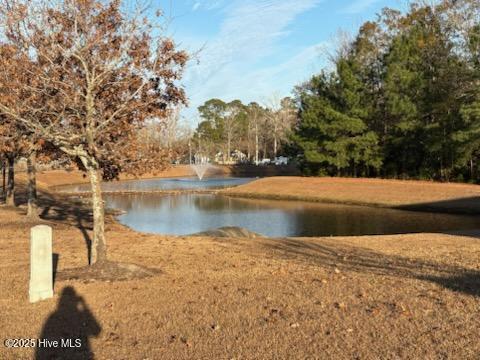 100542837 | Photo 37