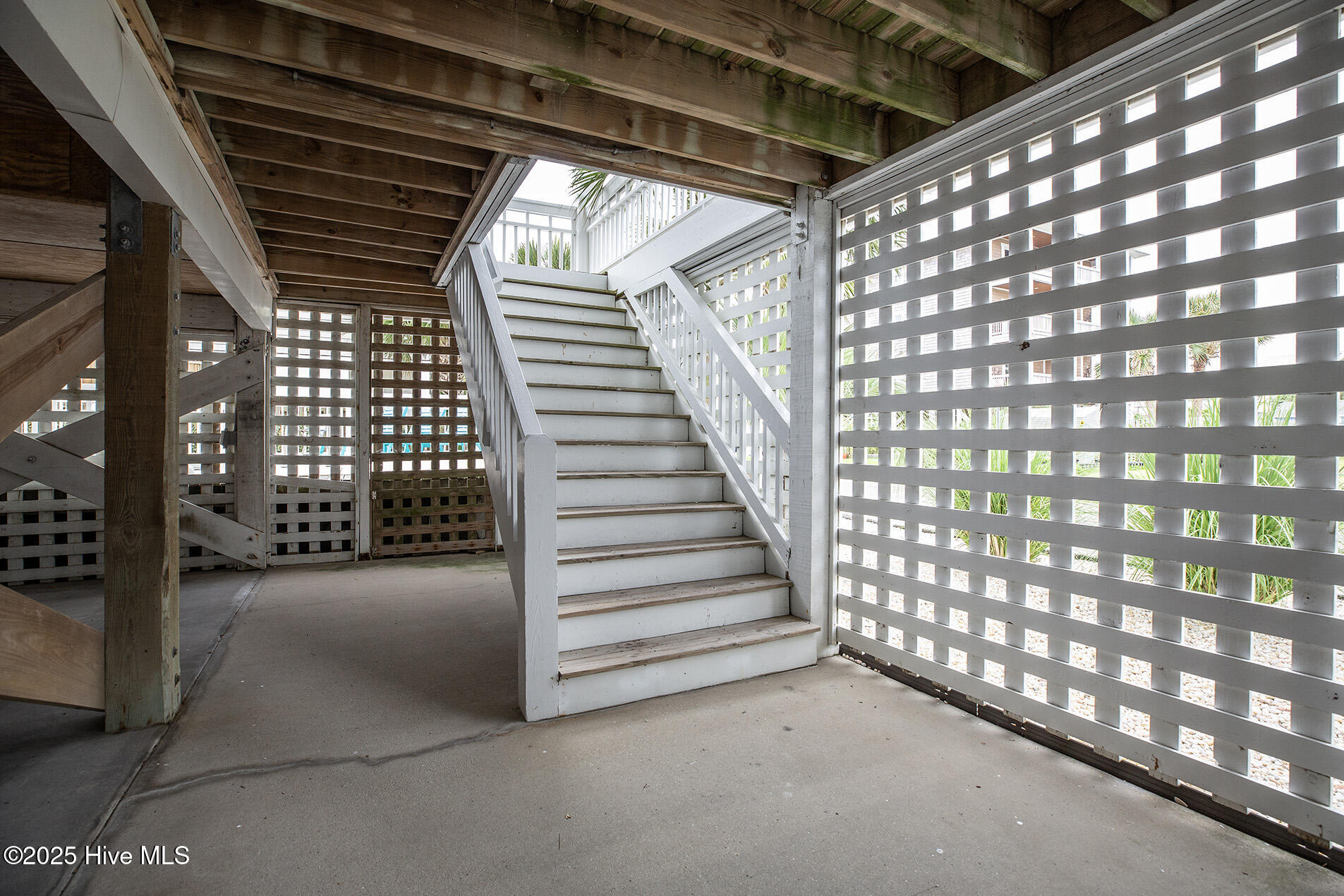 100557922 | Photo 33