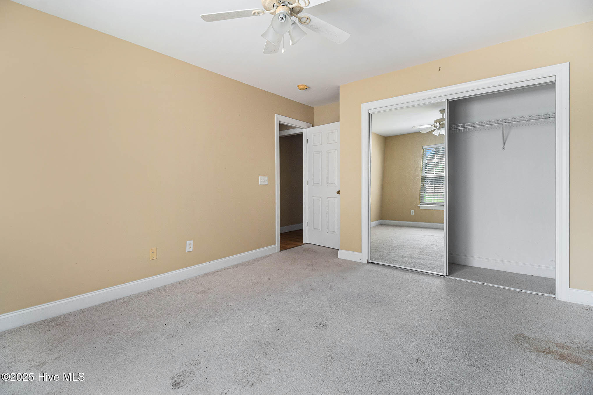 100526069 | Photo 19