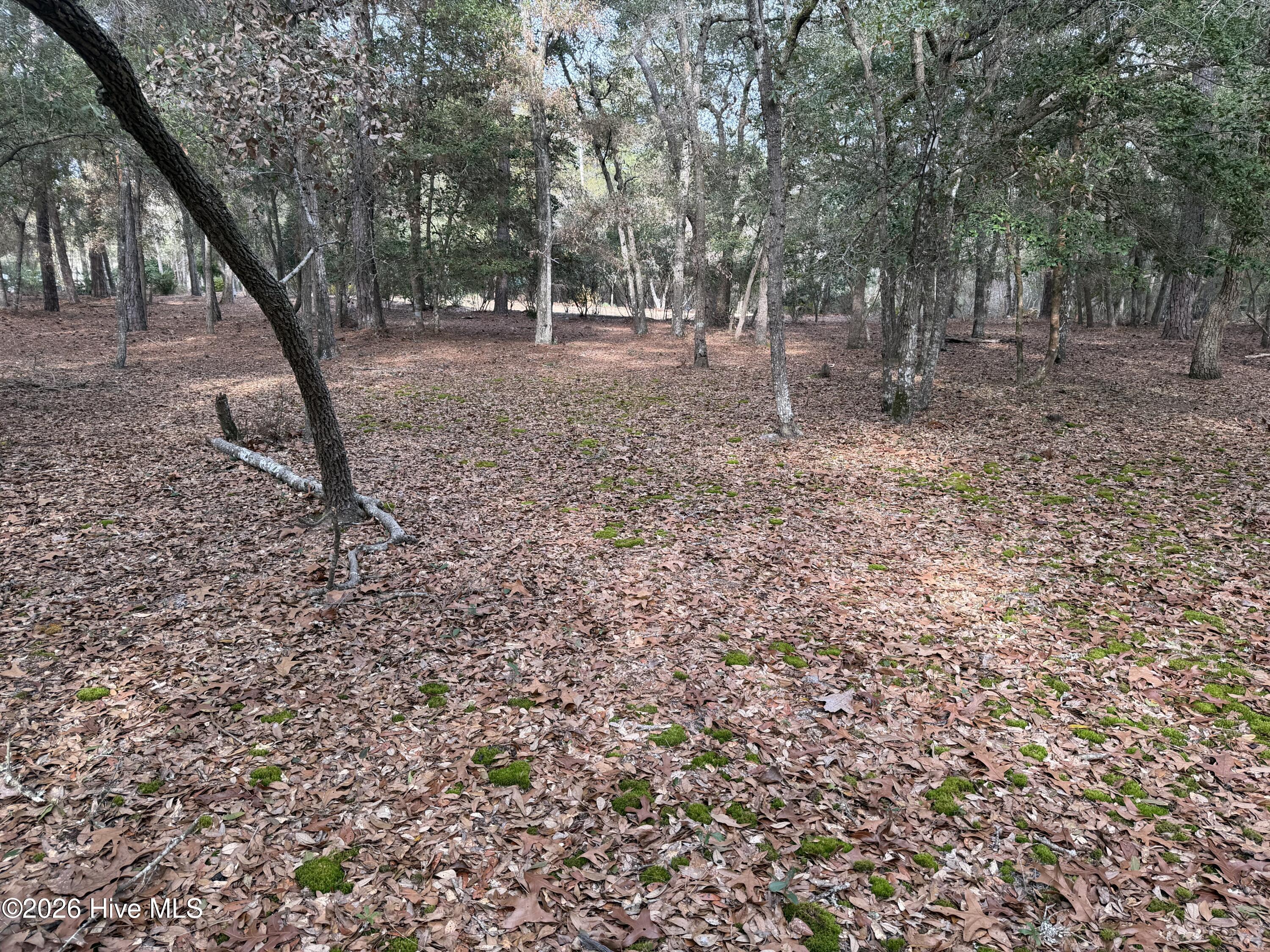 100557088 | Photo 15