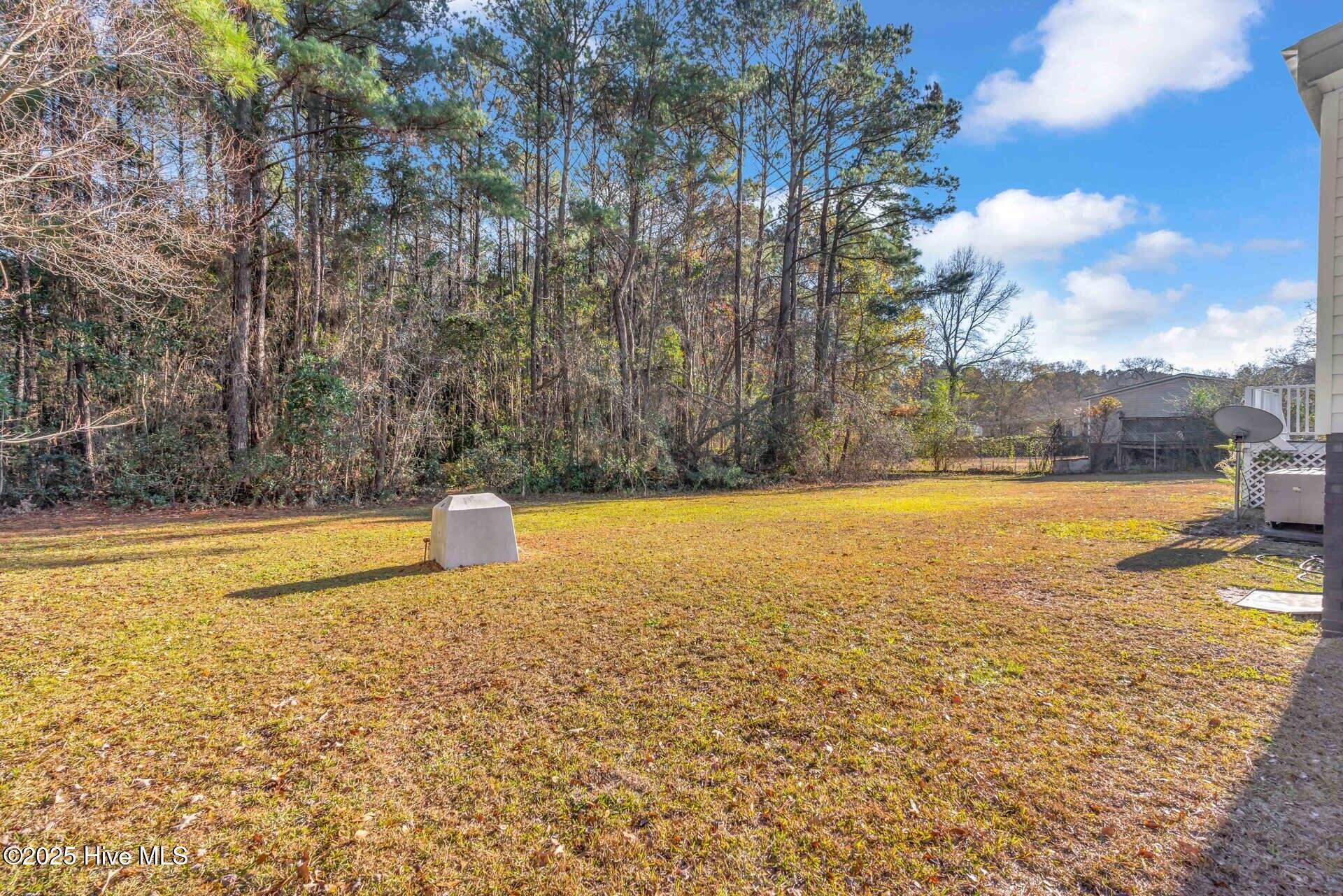 100503188 | Photo 30