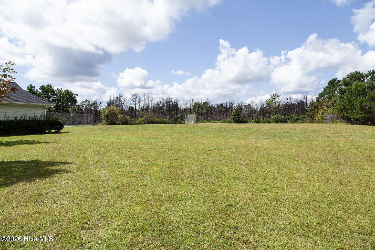 100556158 | Photo 52