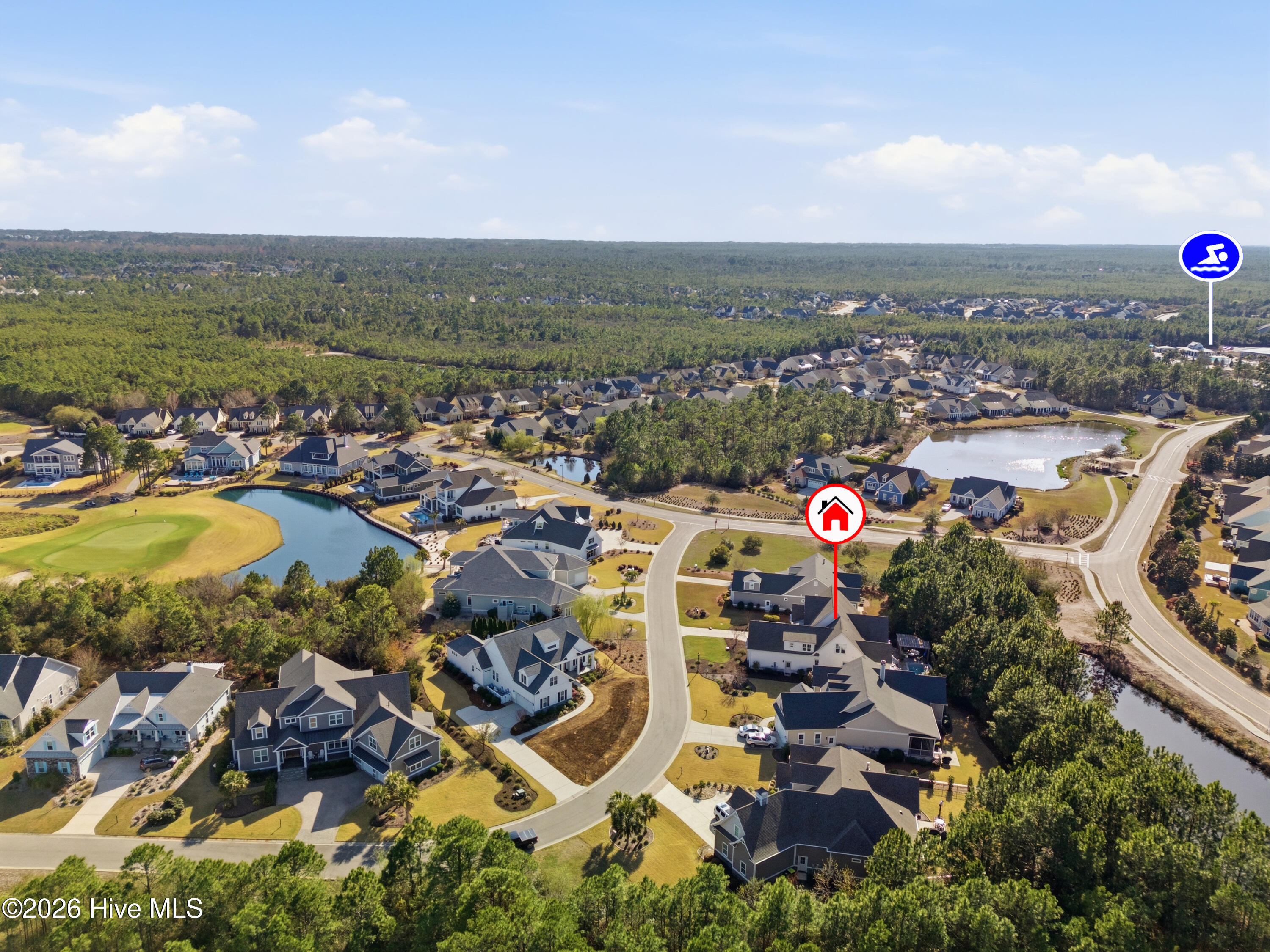 100560697 | Photo 77