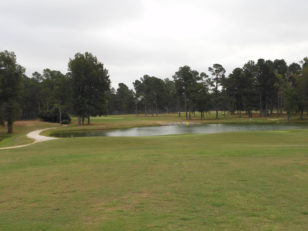 0 Shady Oak Court, Waynesboro, GA, 30830