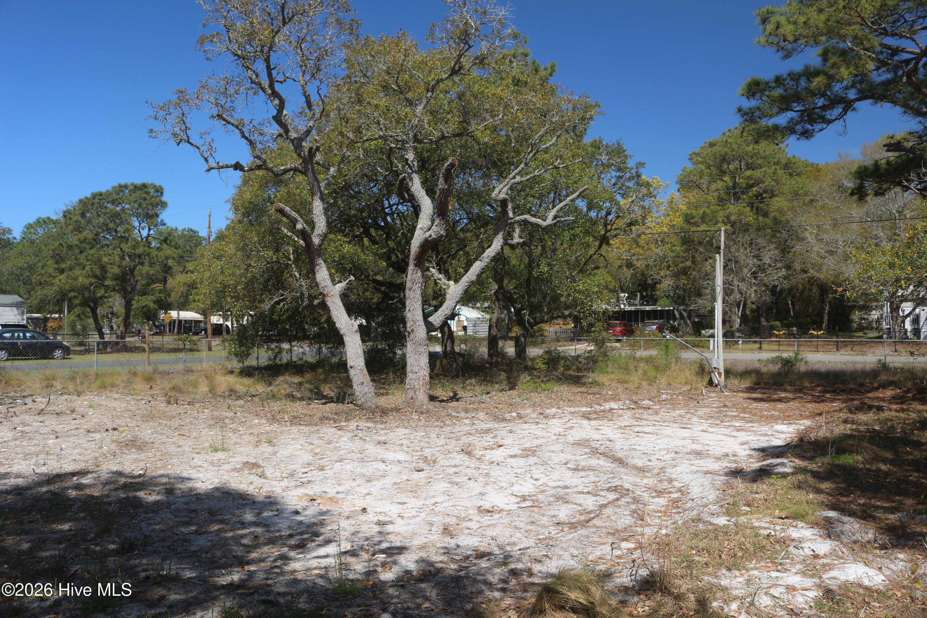 100566434 | Photo 13