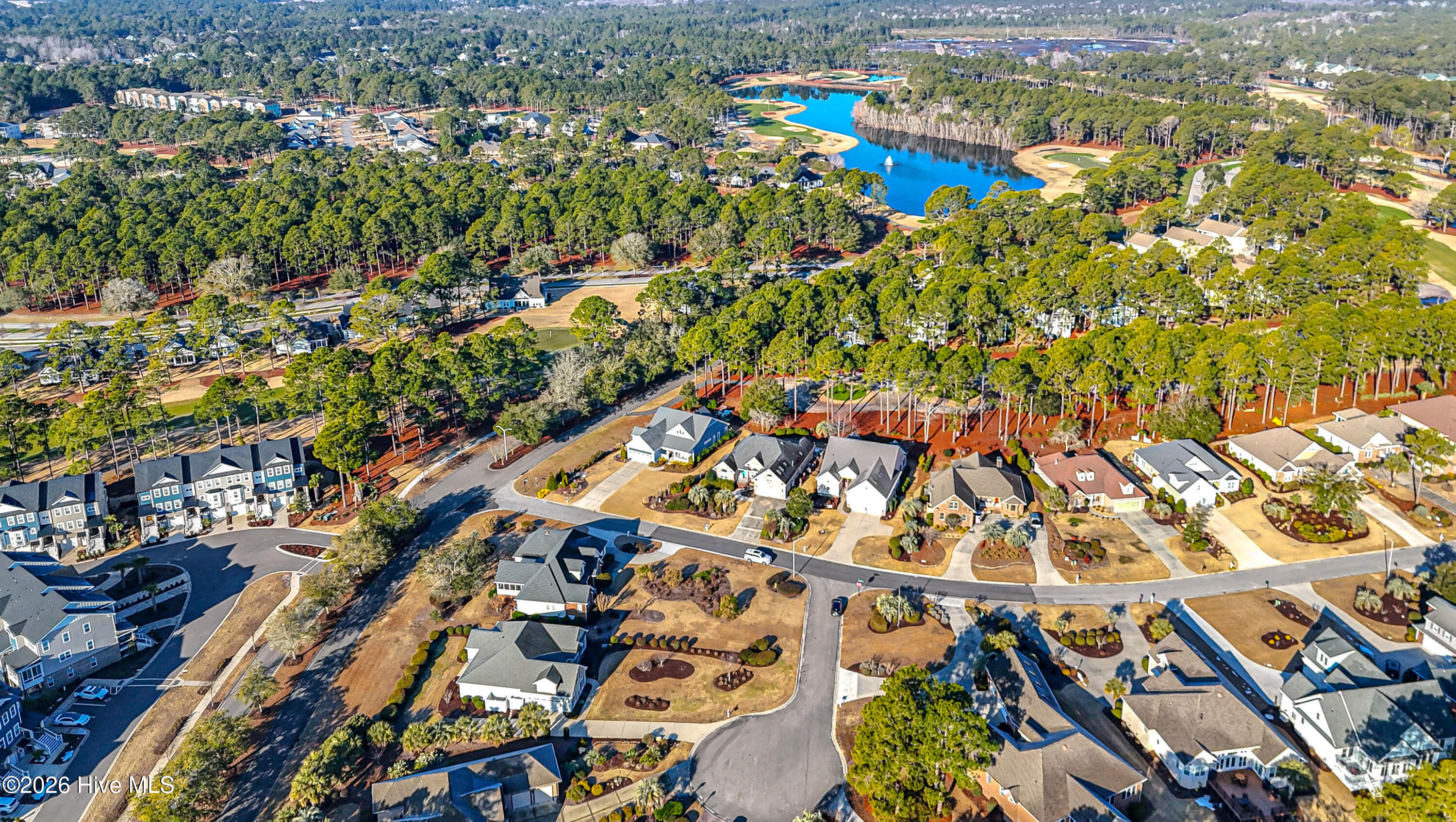 100553536 | Photo 63