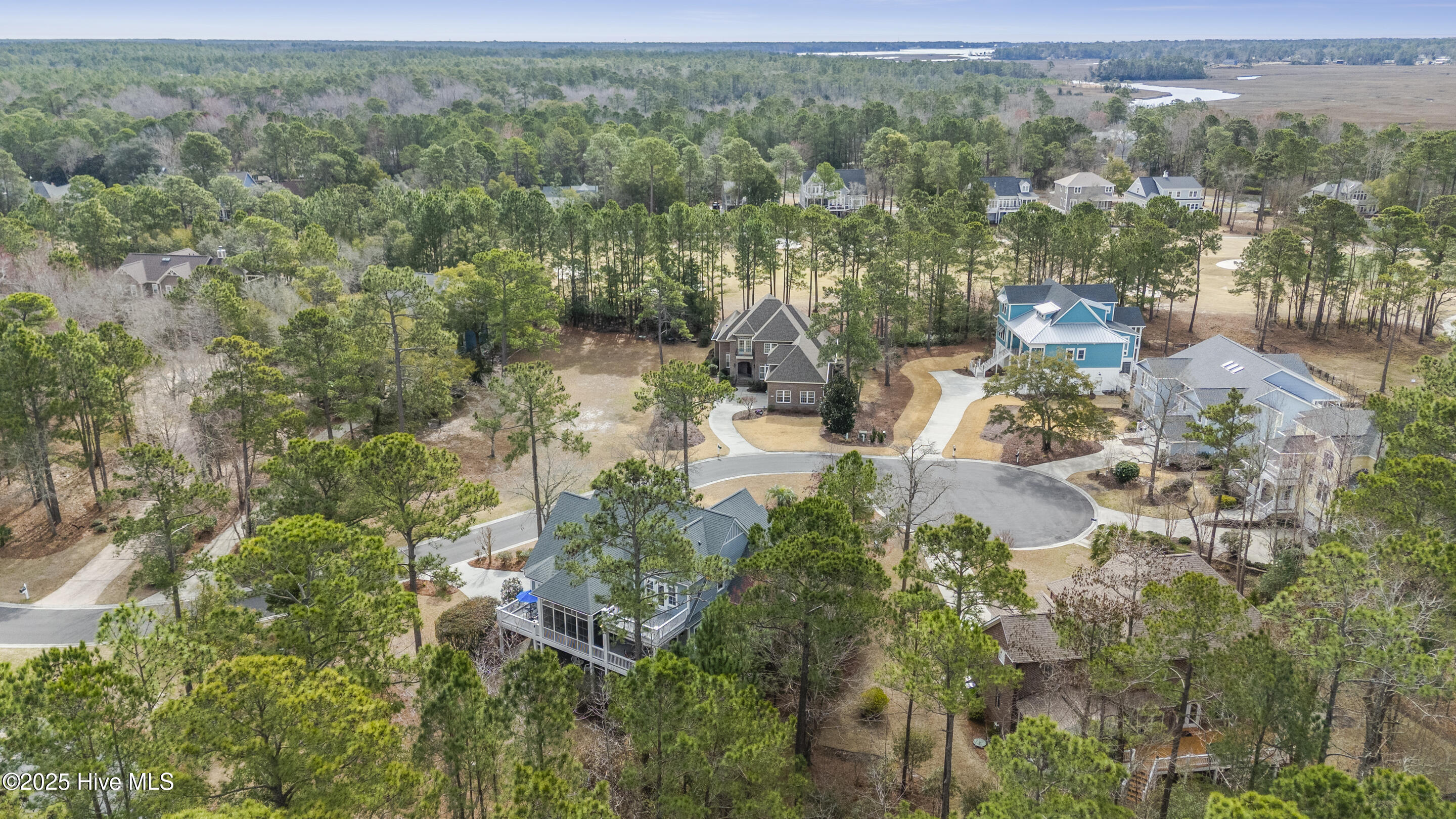 100493610 | Photo 110