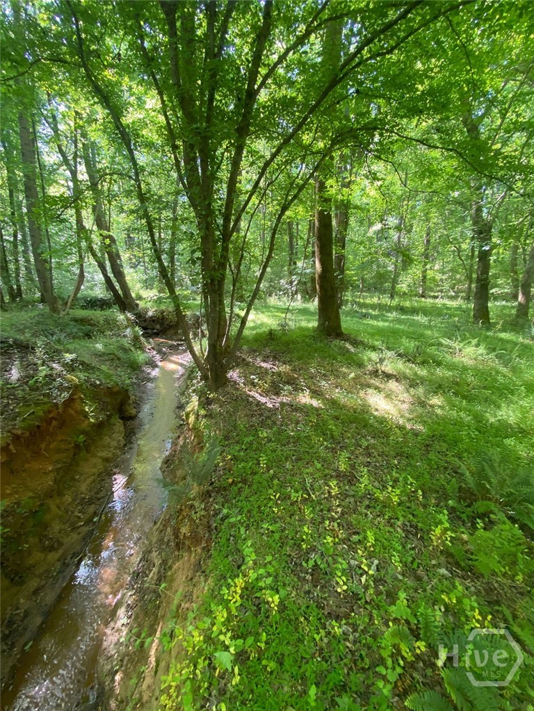 6077 Colham Ferry Road, Watkinsville, GA, 30677