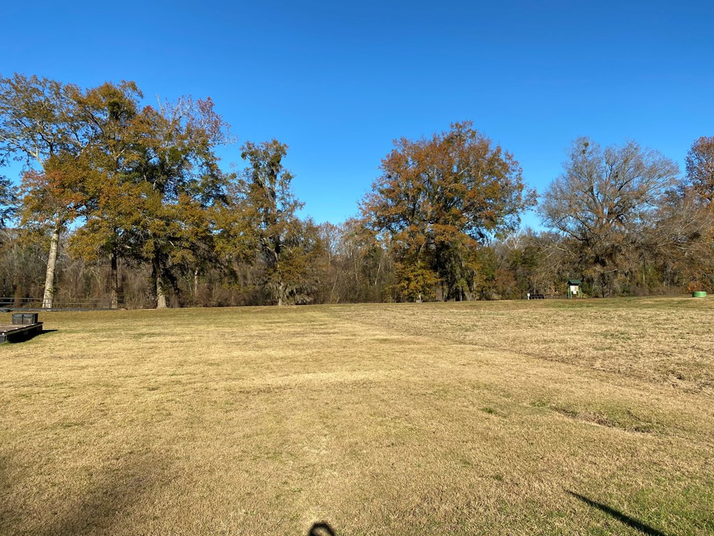 Homes for sale in Waynesboro, GA | 159 Rivers Run, Waynesboro, GA 30830 | MLS# 544642