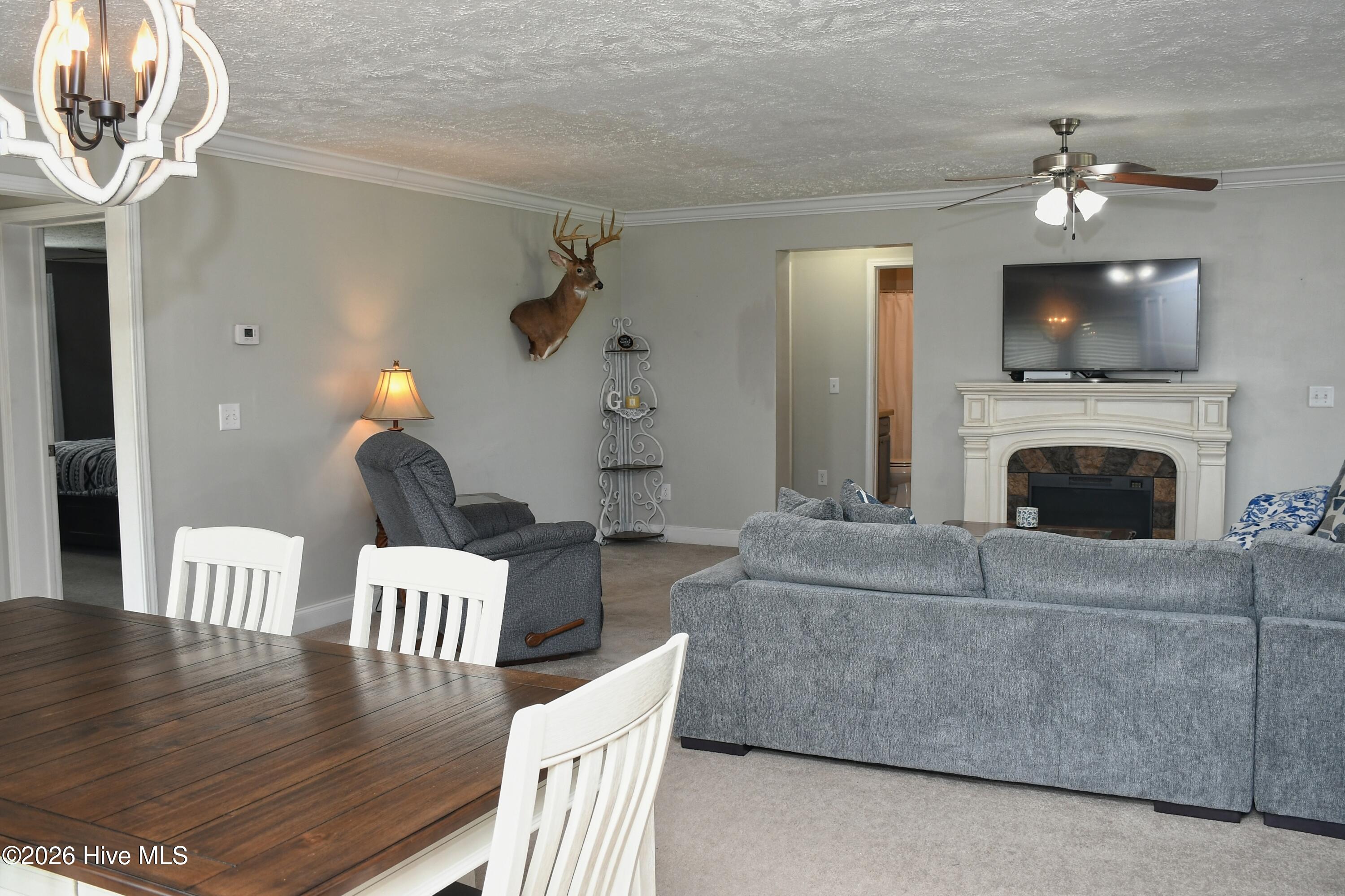 100565846 | Photo 12