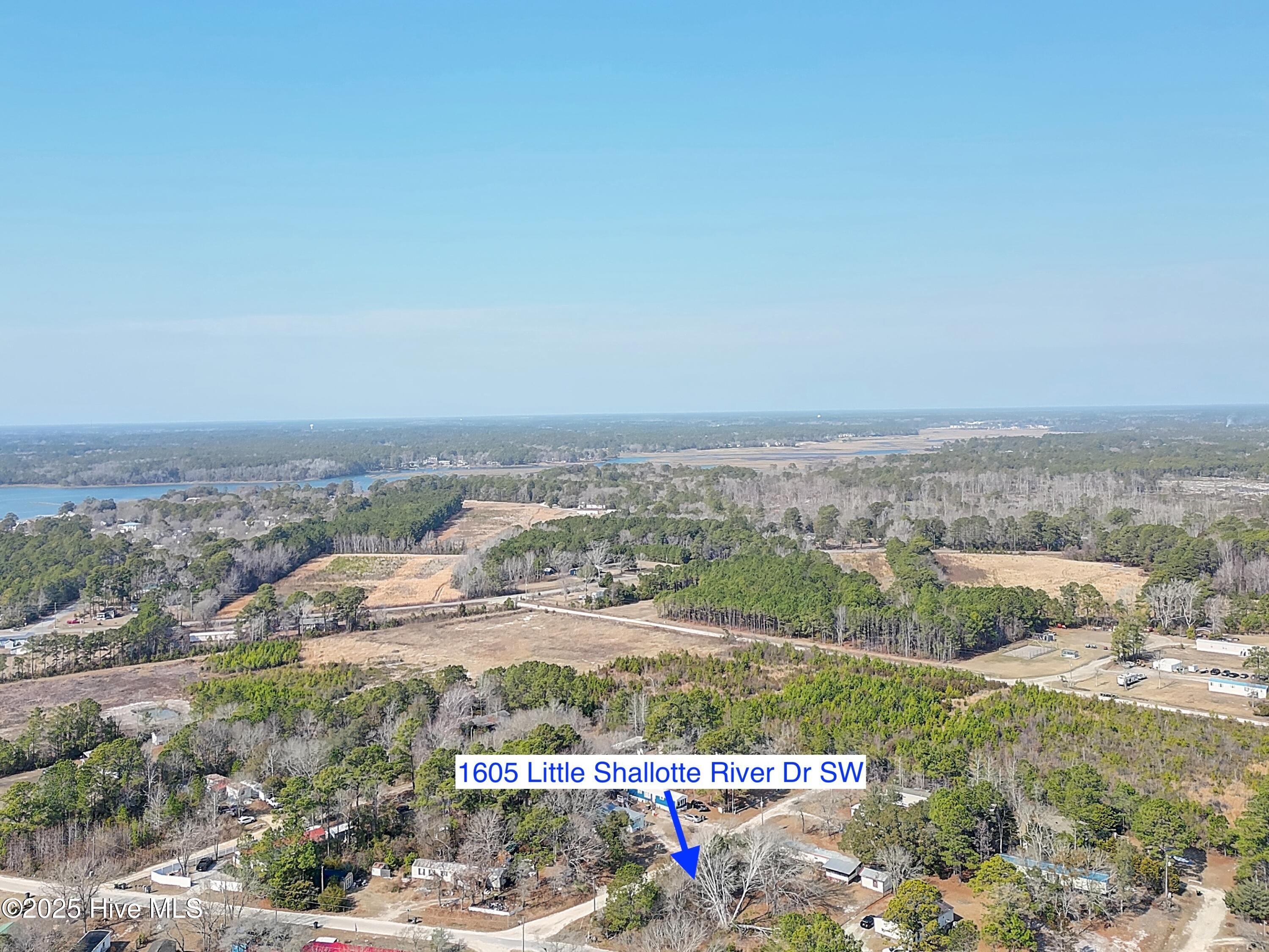 100559646 | Photo 14