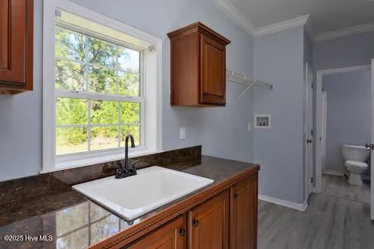 100512300 | Photo 34