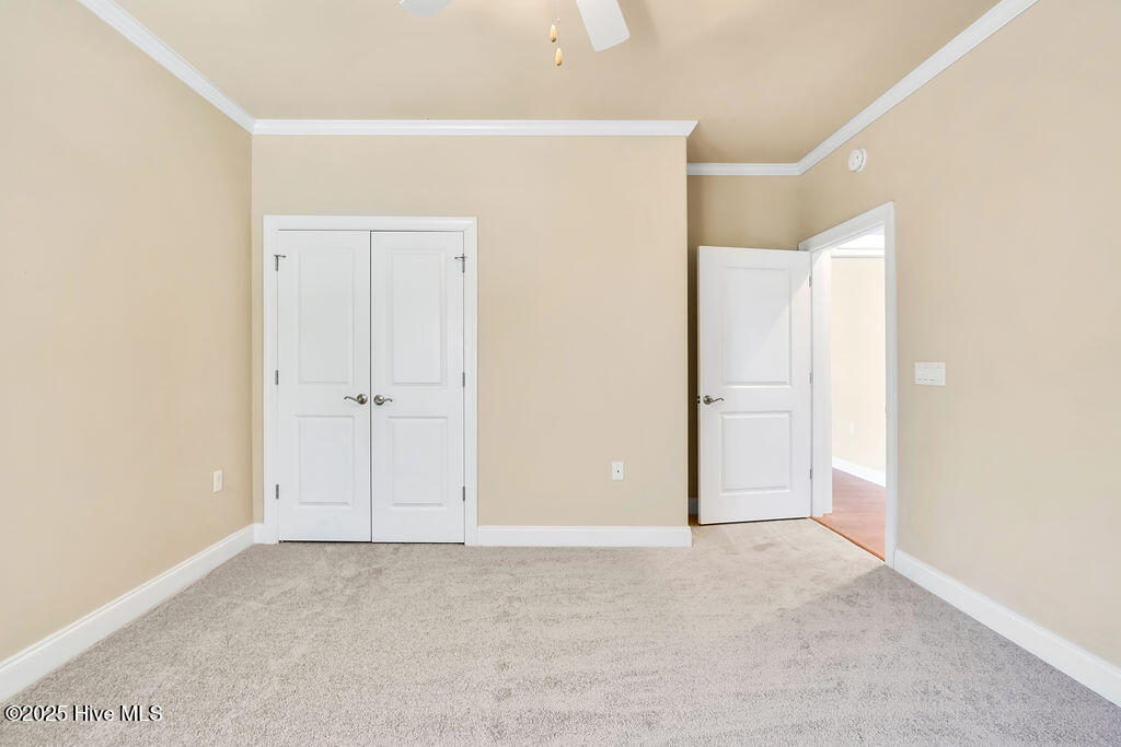 100505540 | Photo 17