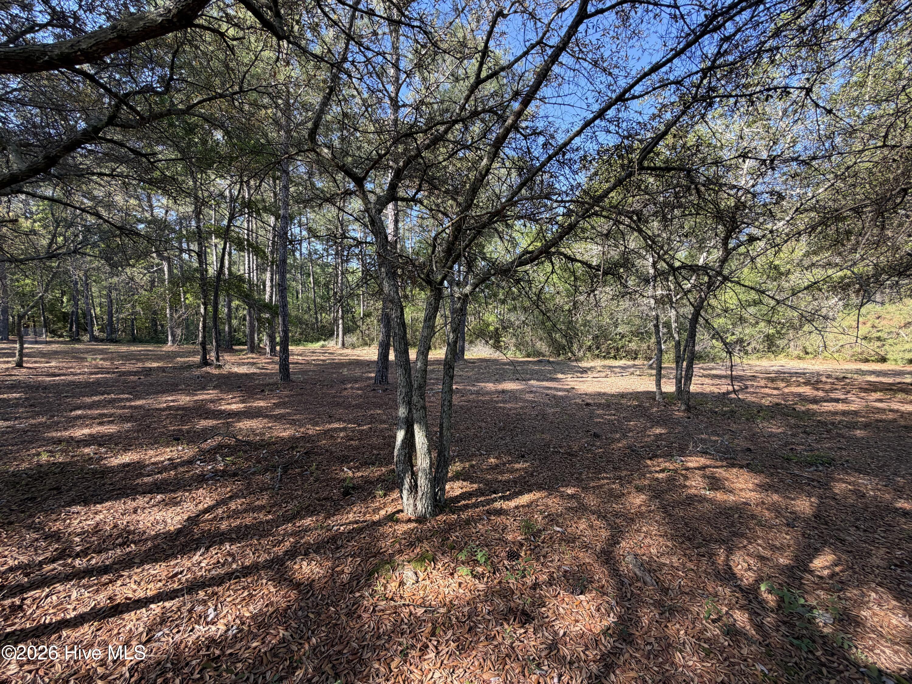 100569974 | Photo 14