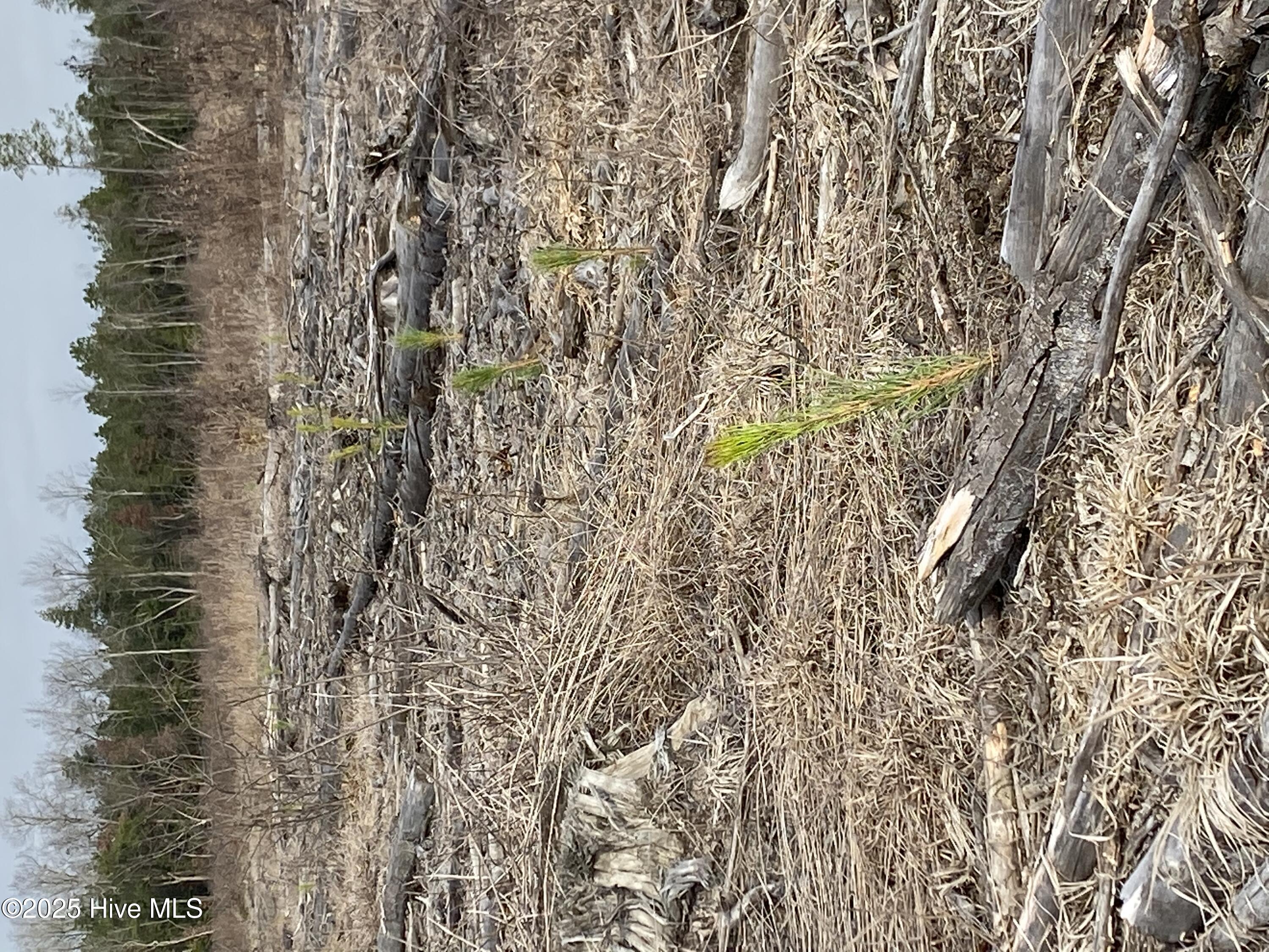 Homes for sale in White Oak, NC | 7399 Burney Rd, White Oak, NC 28399 | MLS# 100543470