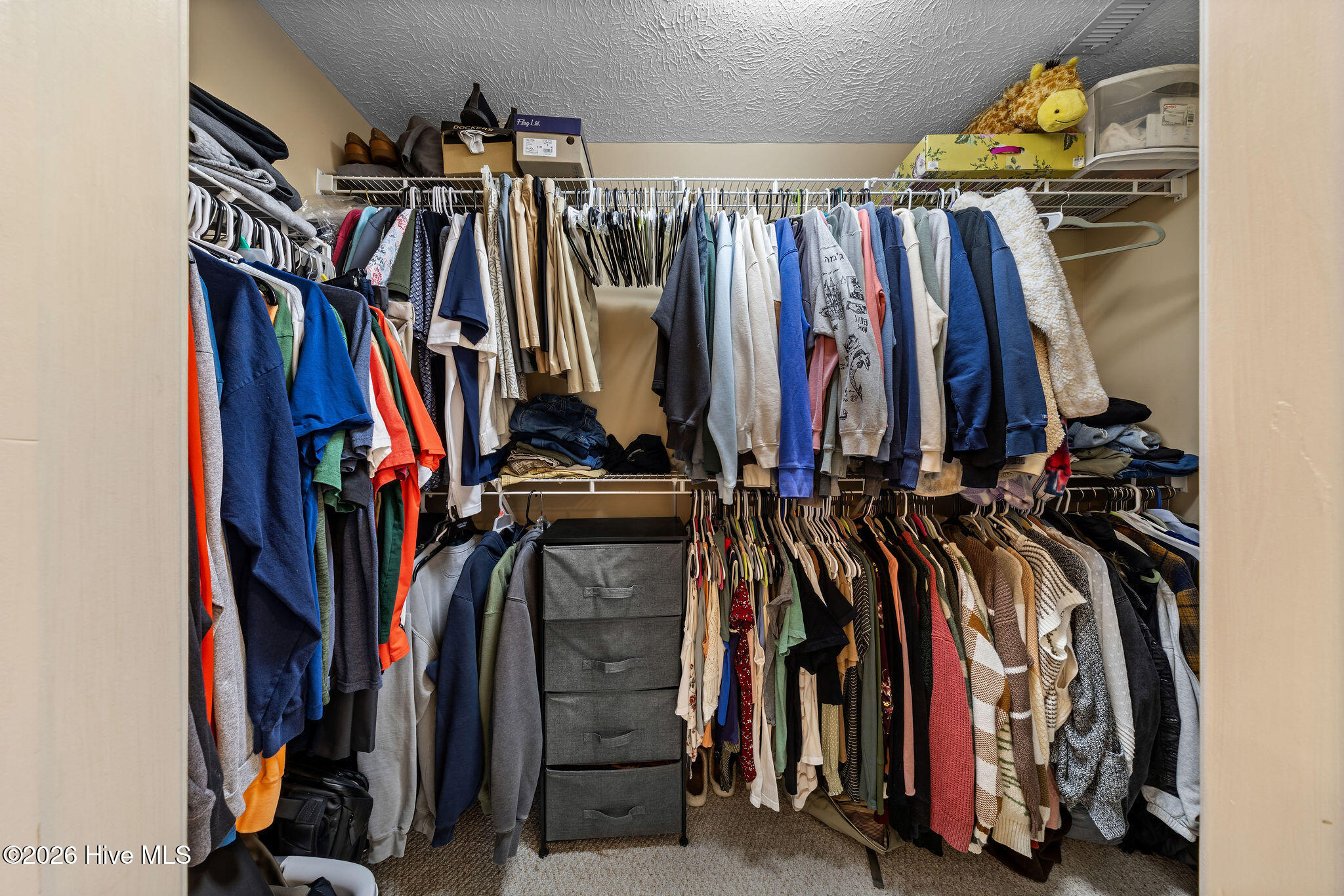 100551097 | Photo 19