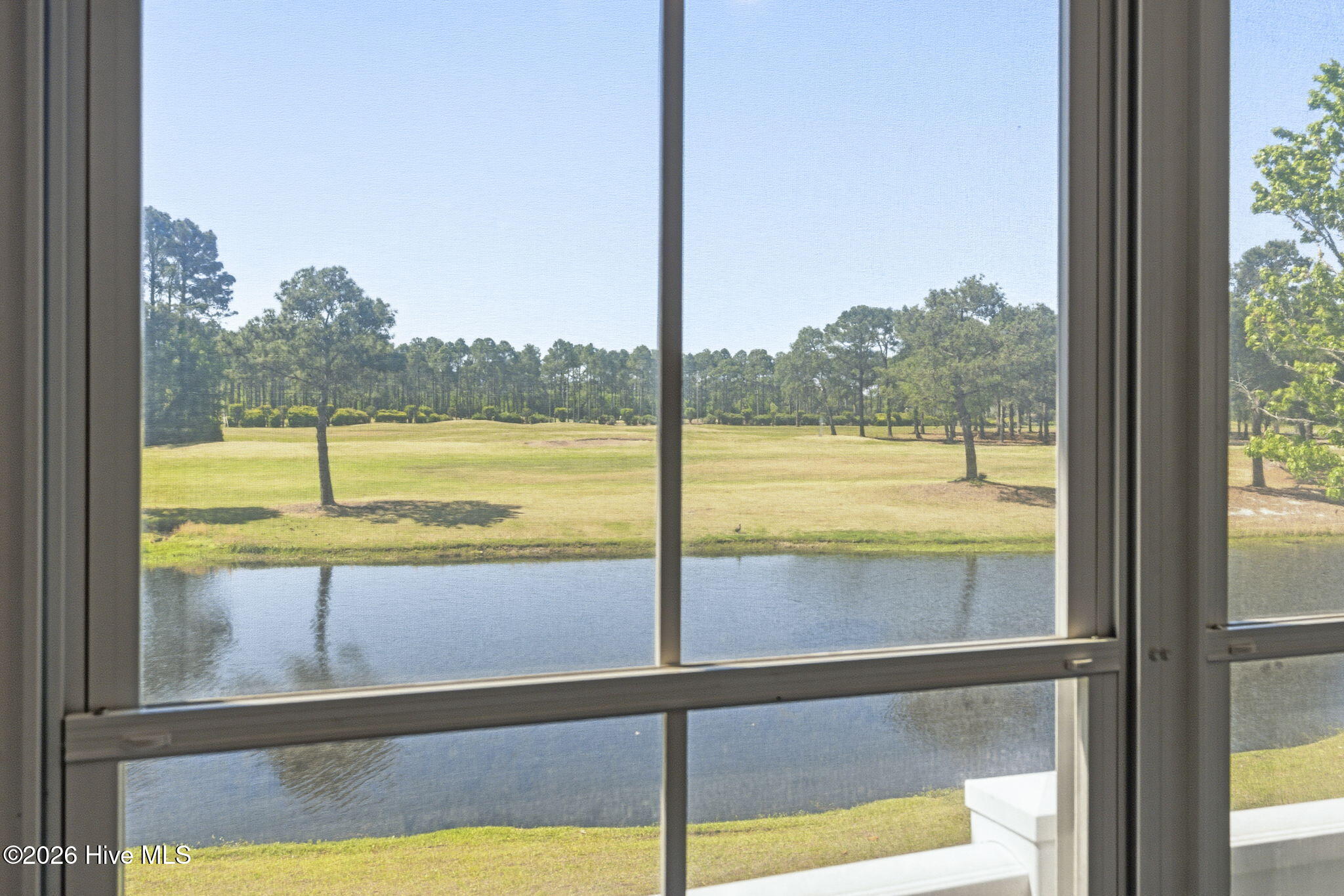 100569052 | Photo 30