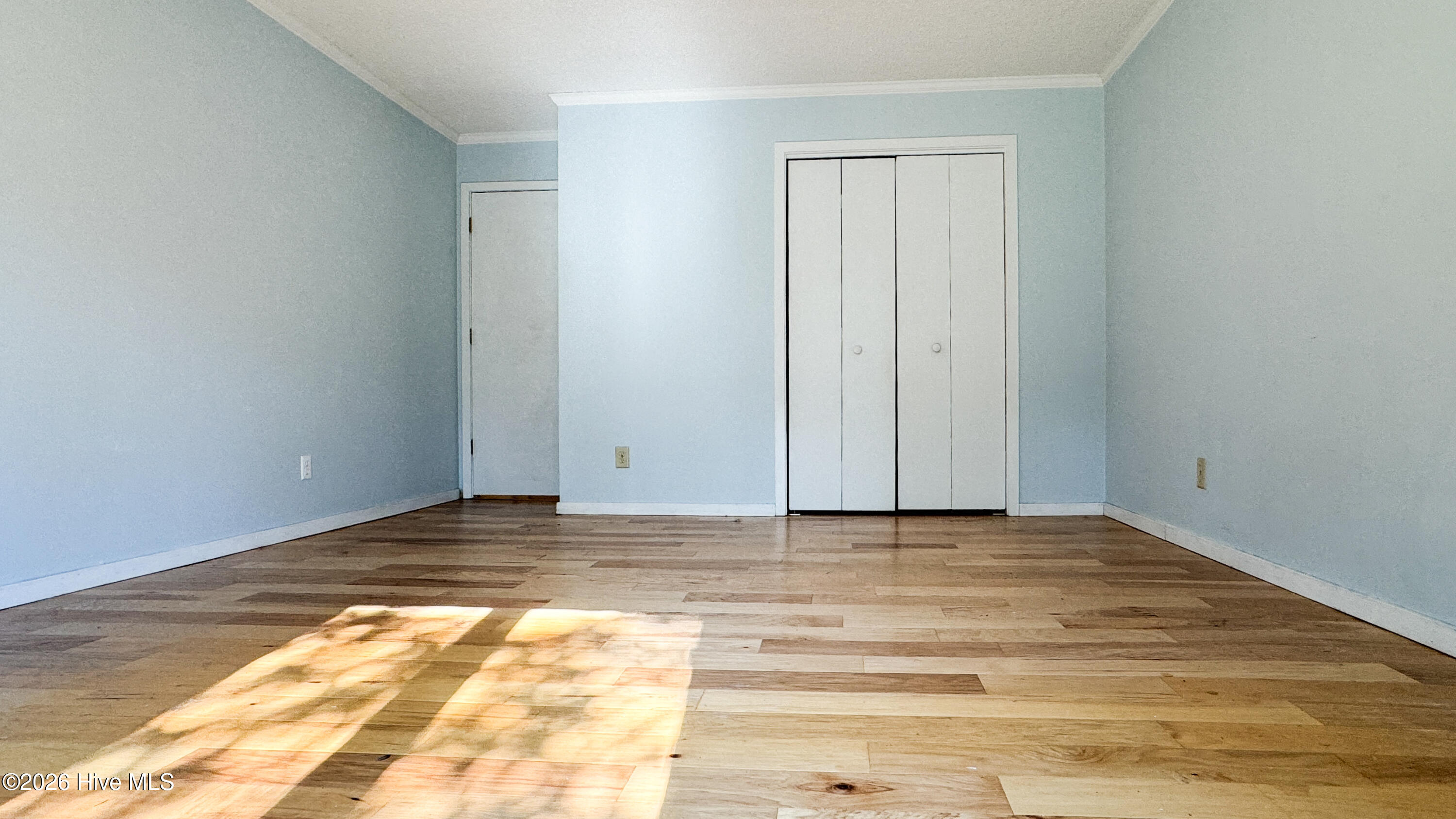 100565099 | Photo 16