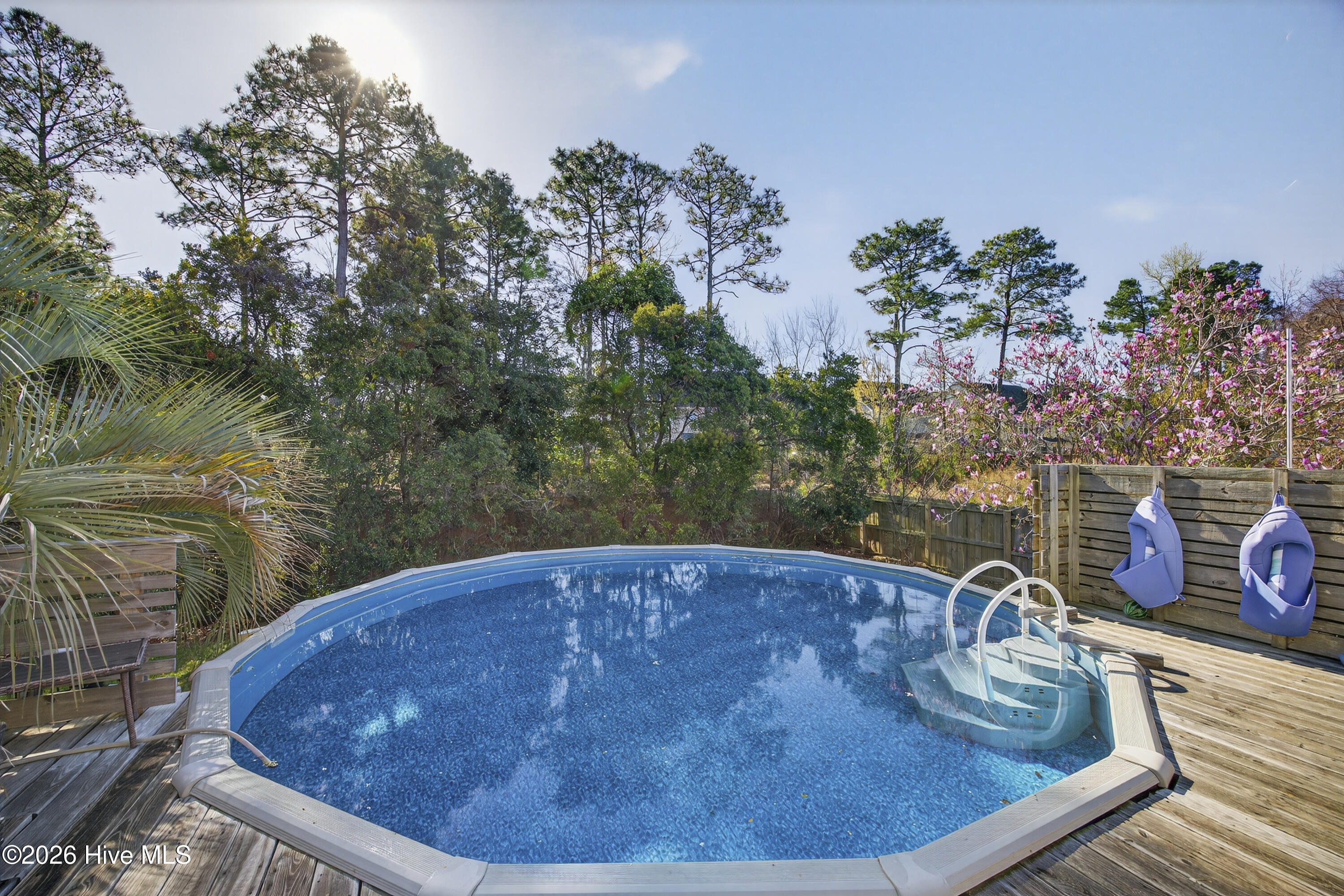 100560276 | Photo 32